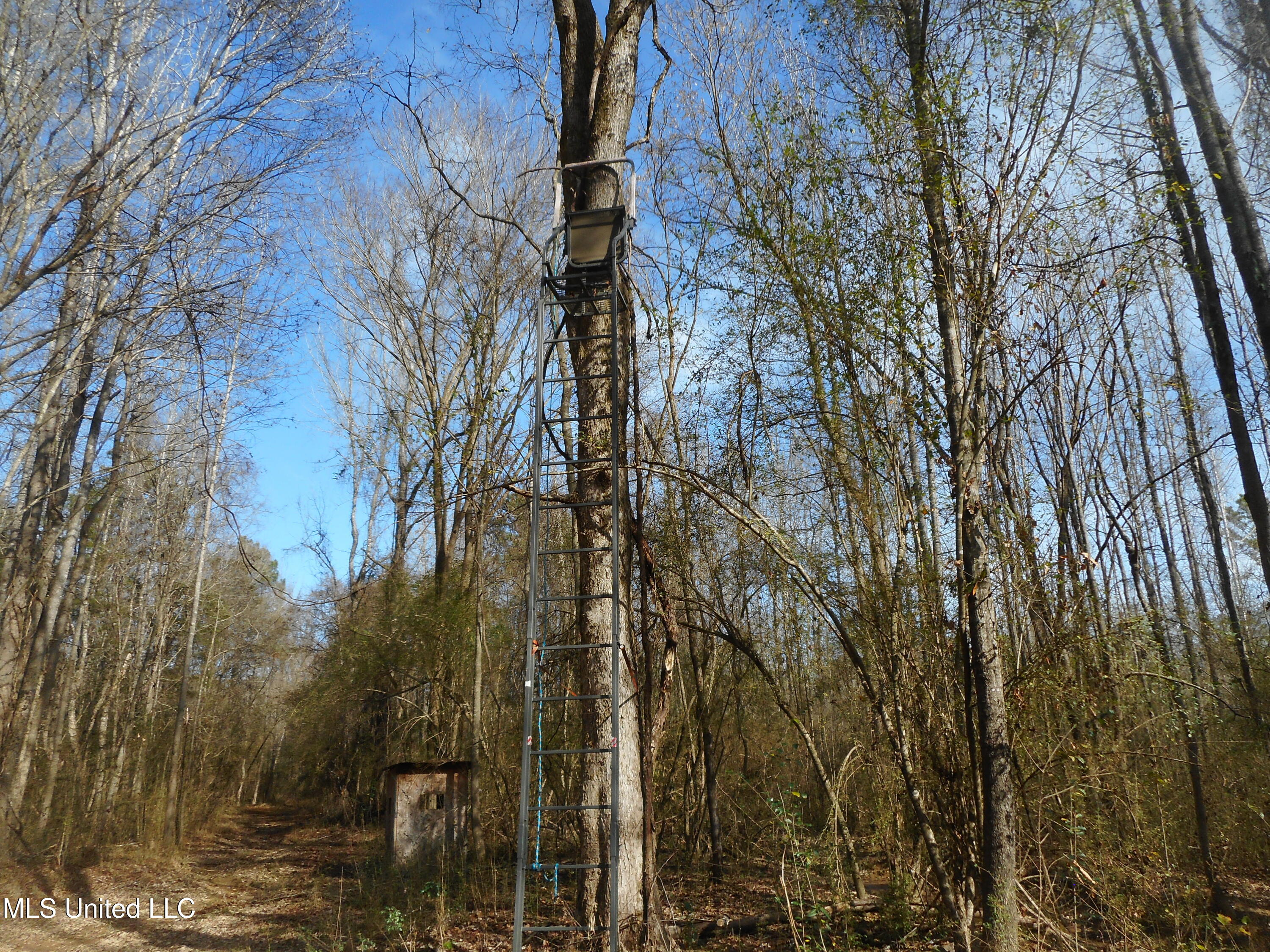 593 Rocky Hill Road Pickens, MS 39146 - Photo 102 of 102 DSCN2034