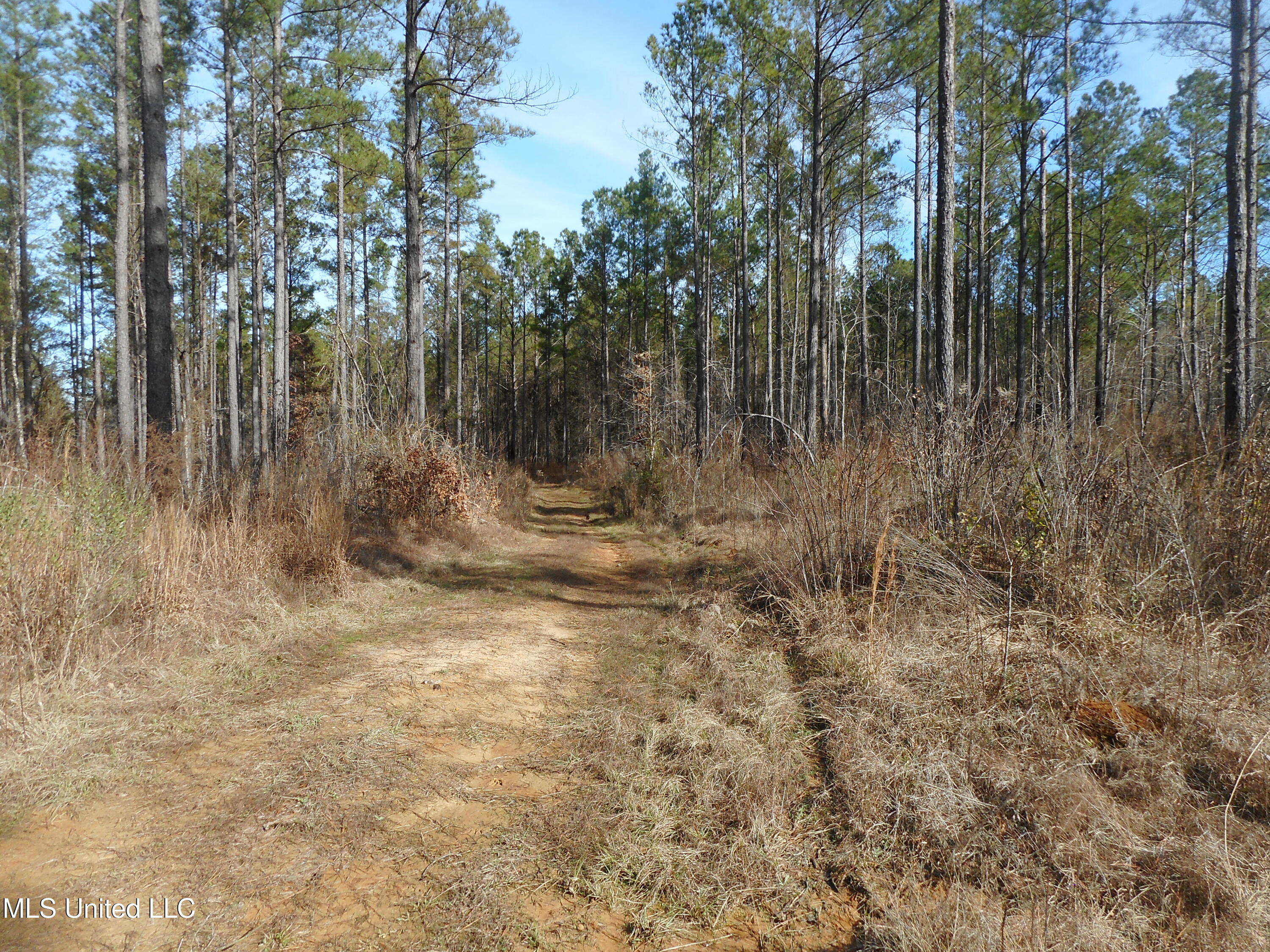 593 Rocky Hill Road Pickens, MS 39146 - Photo 22 of 102 DSCN1970