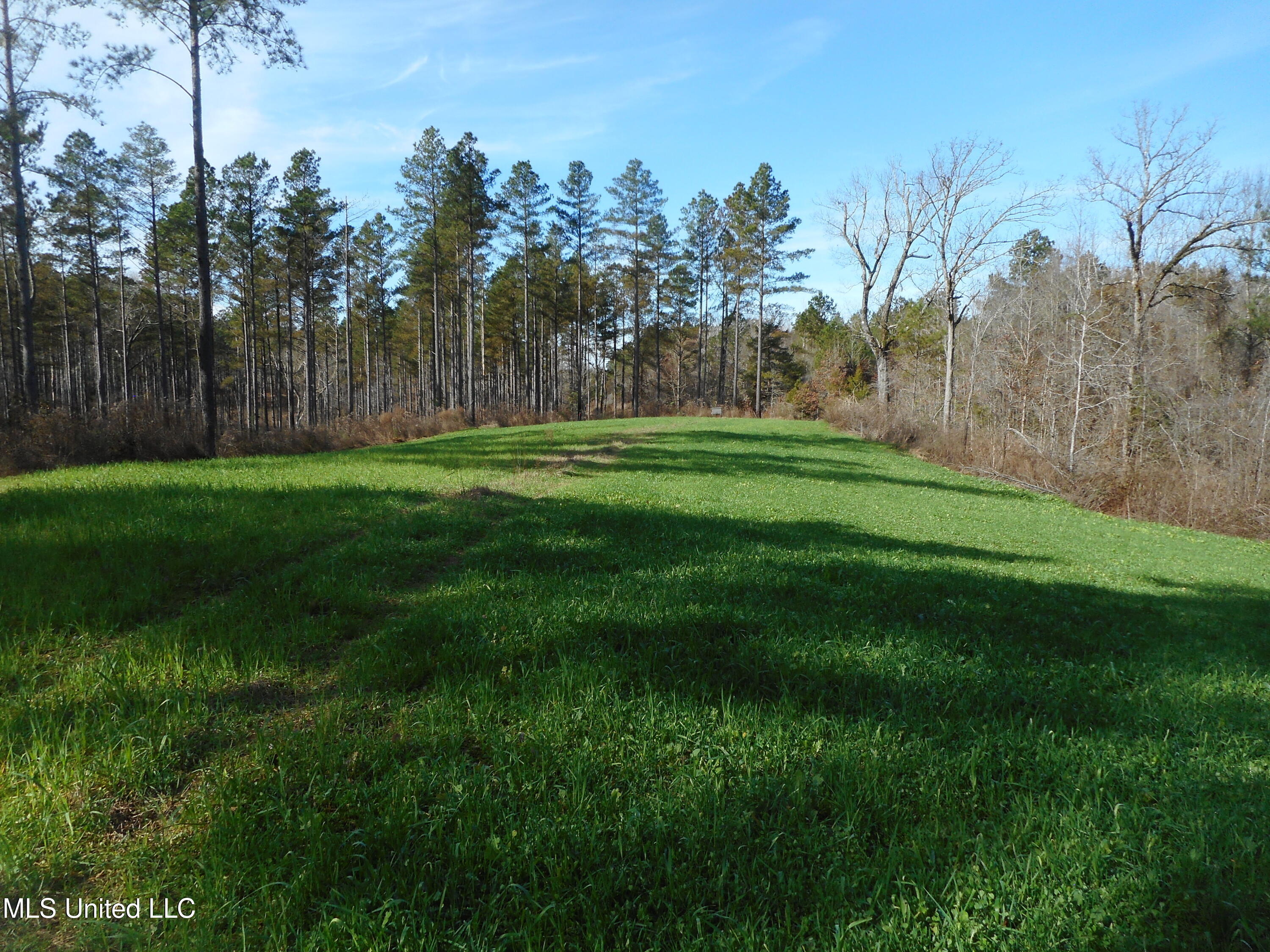 593 Rocky Hill Road Pickens, MS 39146 - Photo 24 of 102 DSCN1972