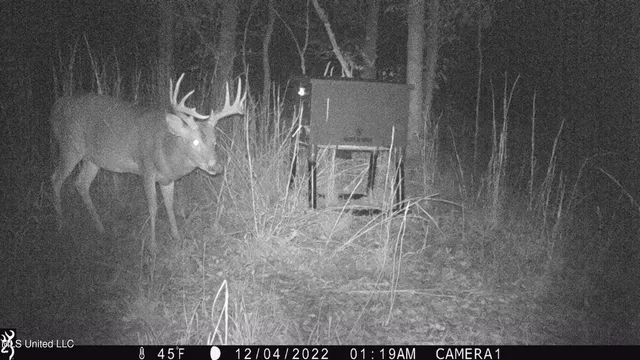 $896,000 | 593 Rocky Hill Road, Pickens, MS 39146