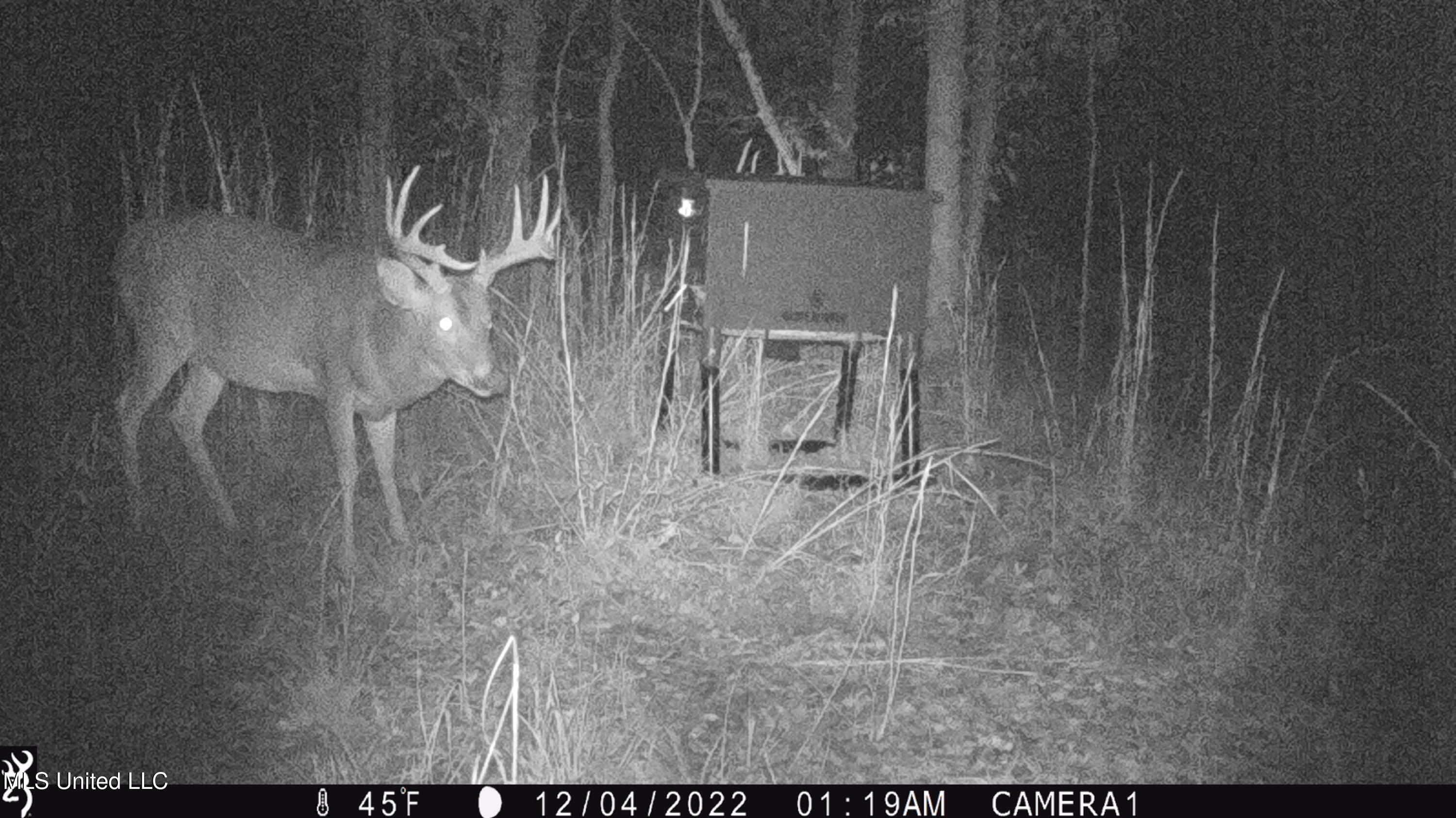 593 Rocky Hill Road Pickens, MS 39146 - Photo 25 of 102 IMG_0128