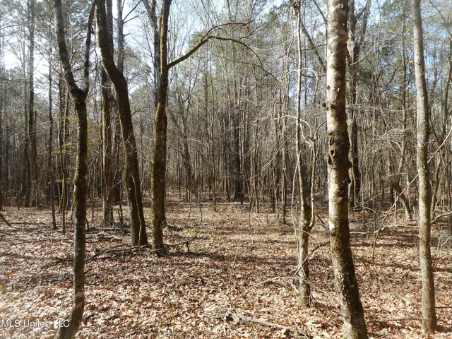 $896,000 | 593 Rocky Hill Road, Pickens, MS 39146