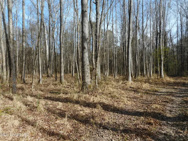 $896,000 | 593 Rocky Hill Road, Pickens, MS 39146