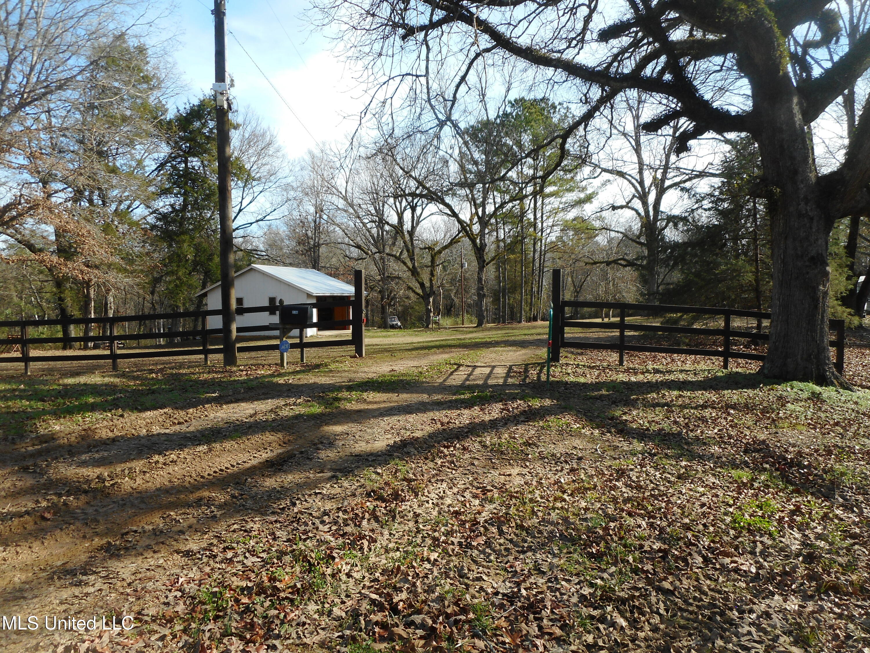 593 Rocky Hill Road Pickens, MS 39146 - Photo 3 of 102 DSCN1941