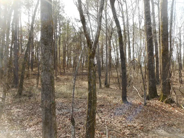 $896,000 | 593 Rocky Hill Road, Pickens, MS 39146