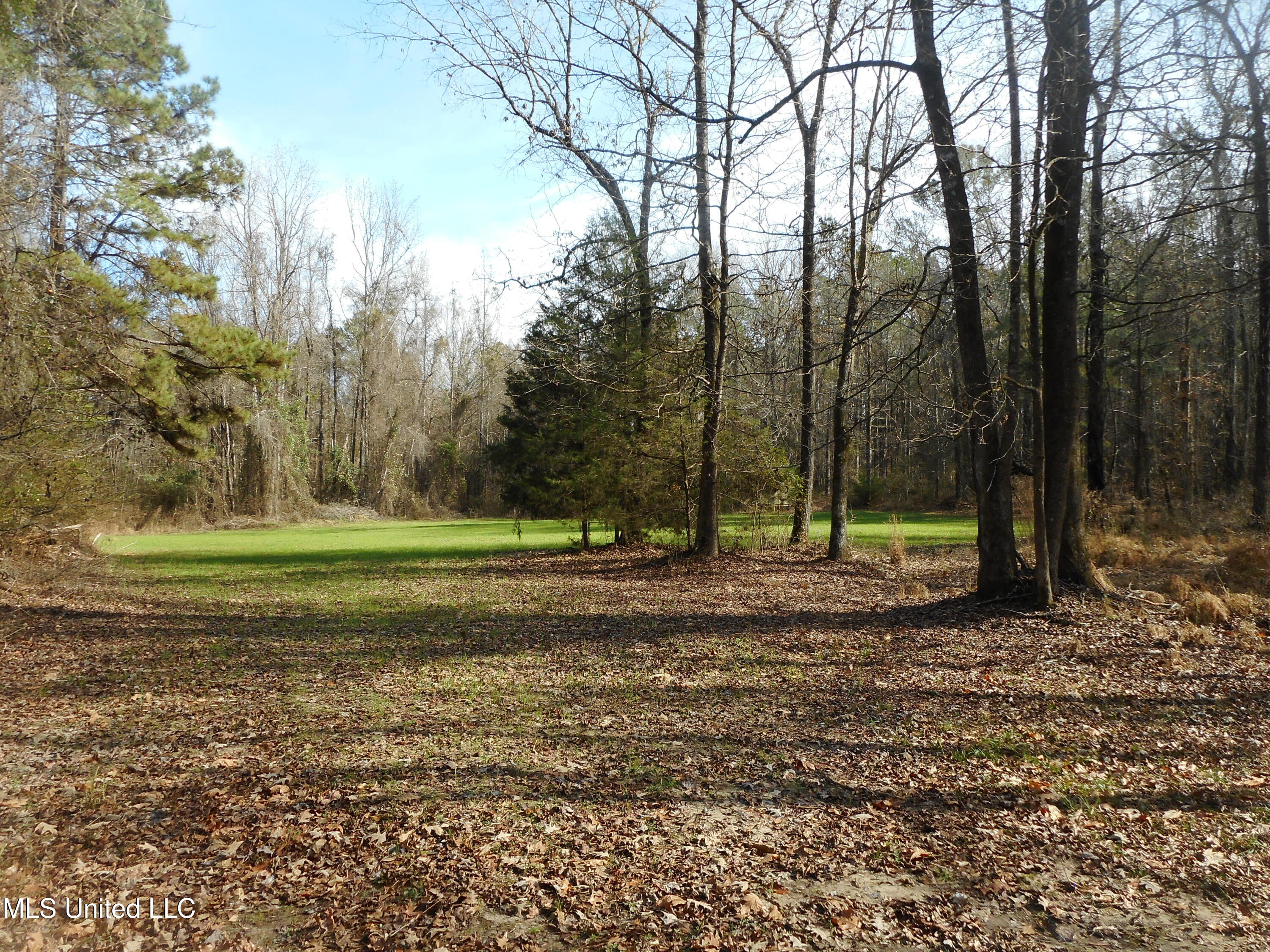 593 Rocky Hill Road Pickens, MS 39146 - Photo 32 of 102 DSCN2009
