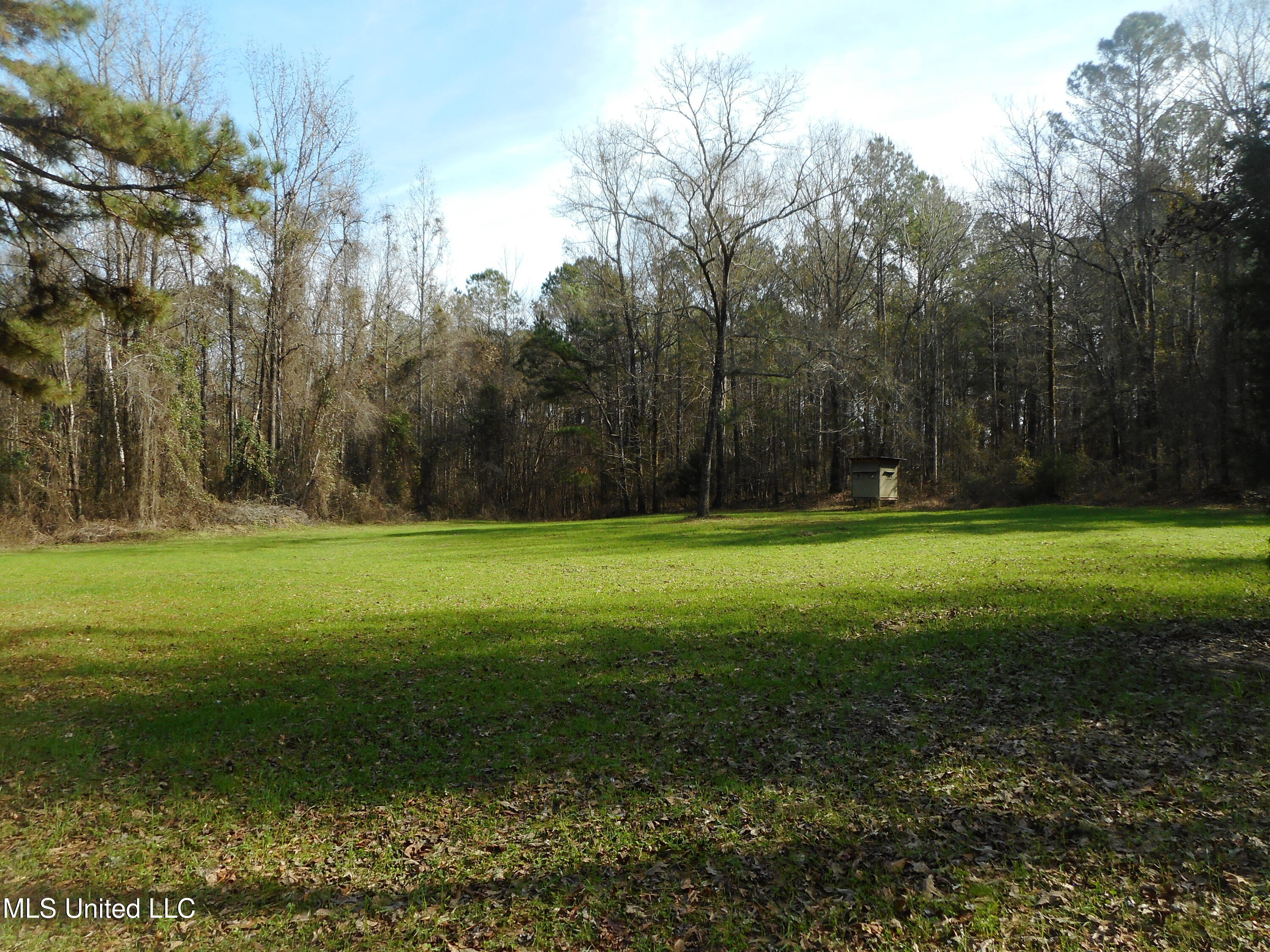 593 Rocky Hill Road Pickens, MS 39146 - Photo 33 of 102 DSCN2010
