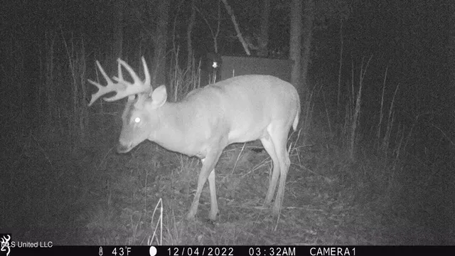 $896,000 | 593 Rocky Hill Road, Pickens, MS 39146