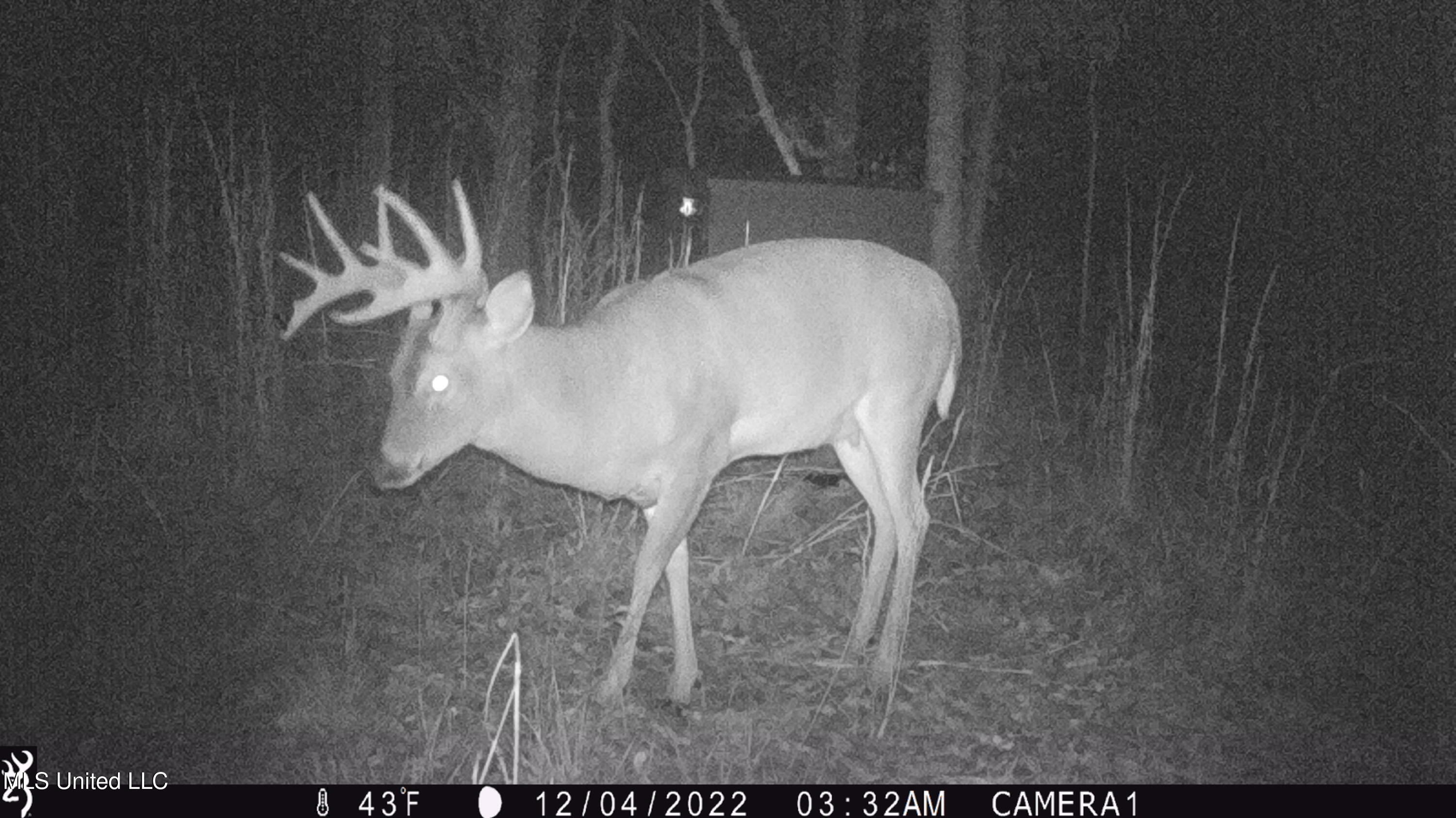 593 Rocky Hill Road Pickens, MS 39146 - Photo 35 of 102 IMG_0168