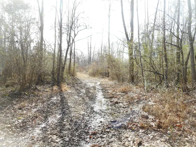 $896,000 | 593 Rocky Hill Road, Pickens, MS 39146