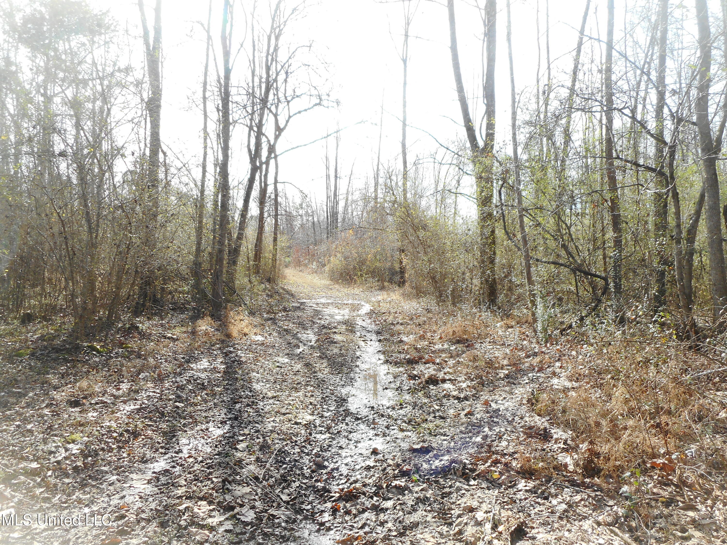 593 Rocky Hill Road Pickens, MS 39146 - Photo 36 of 102 DSCN2015