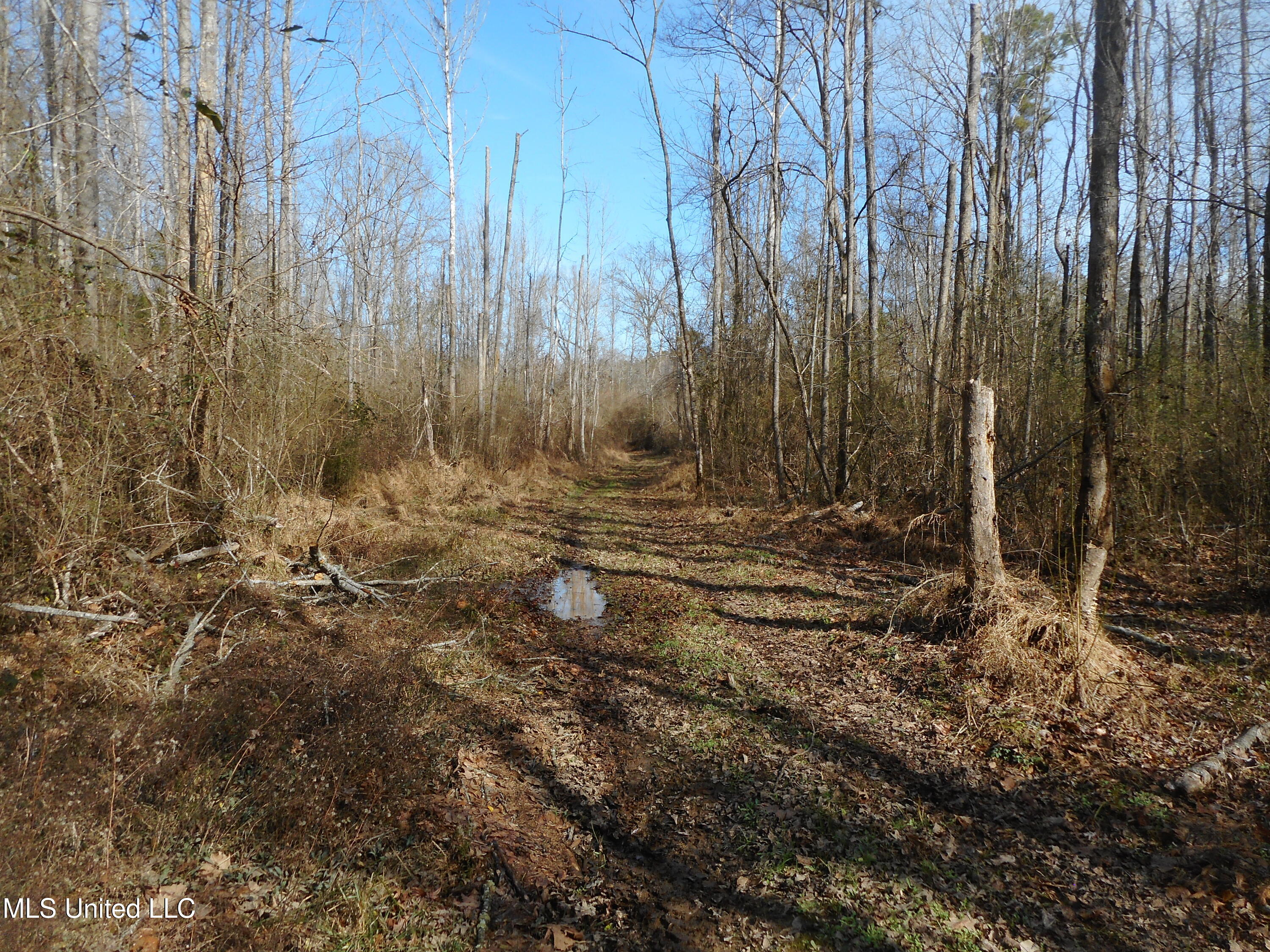 593 Rocky Hill Road Pickens, MS 39146 - Photo 37 of 102 DSCN2016