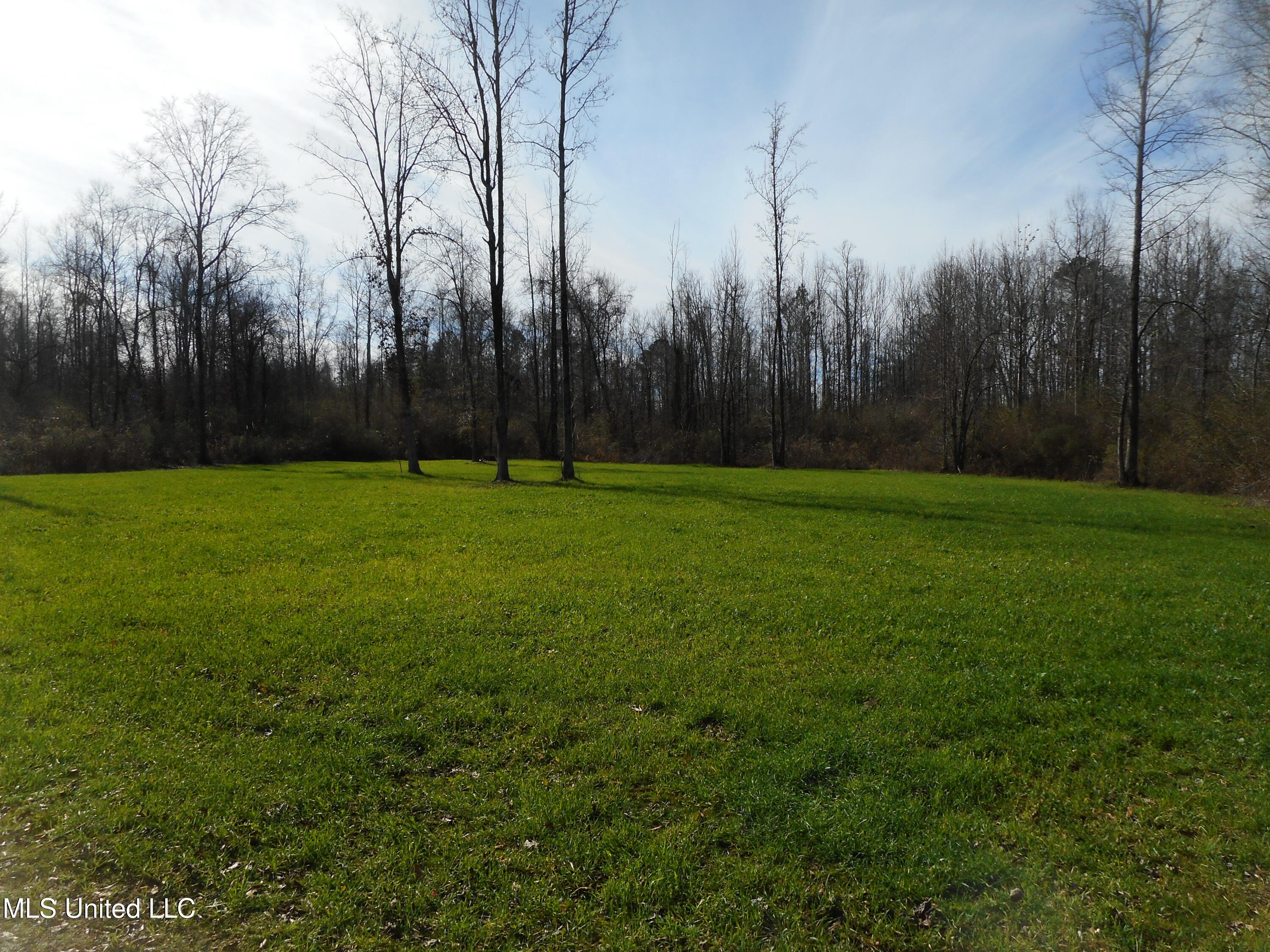 593 Rocky Hill Road Pickens, MS 39146 - Photo 38 of 102 DSCN2018