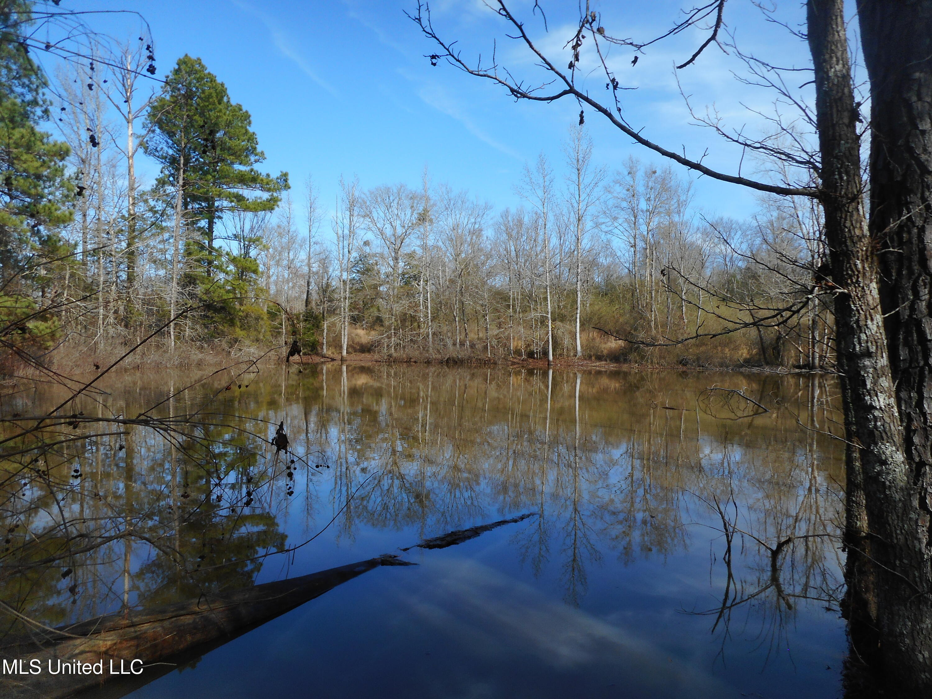 593 Rocky Hill Road Pickens, MS 39146 - Photo 39 of 102 DSCN2023