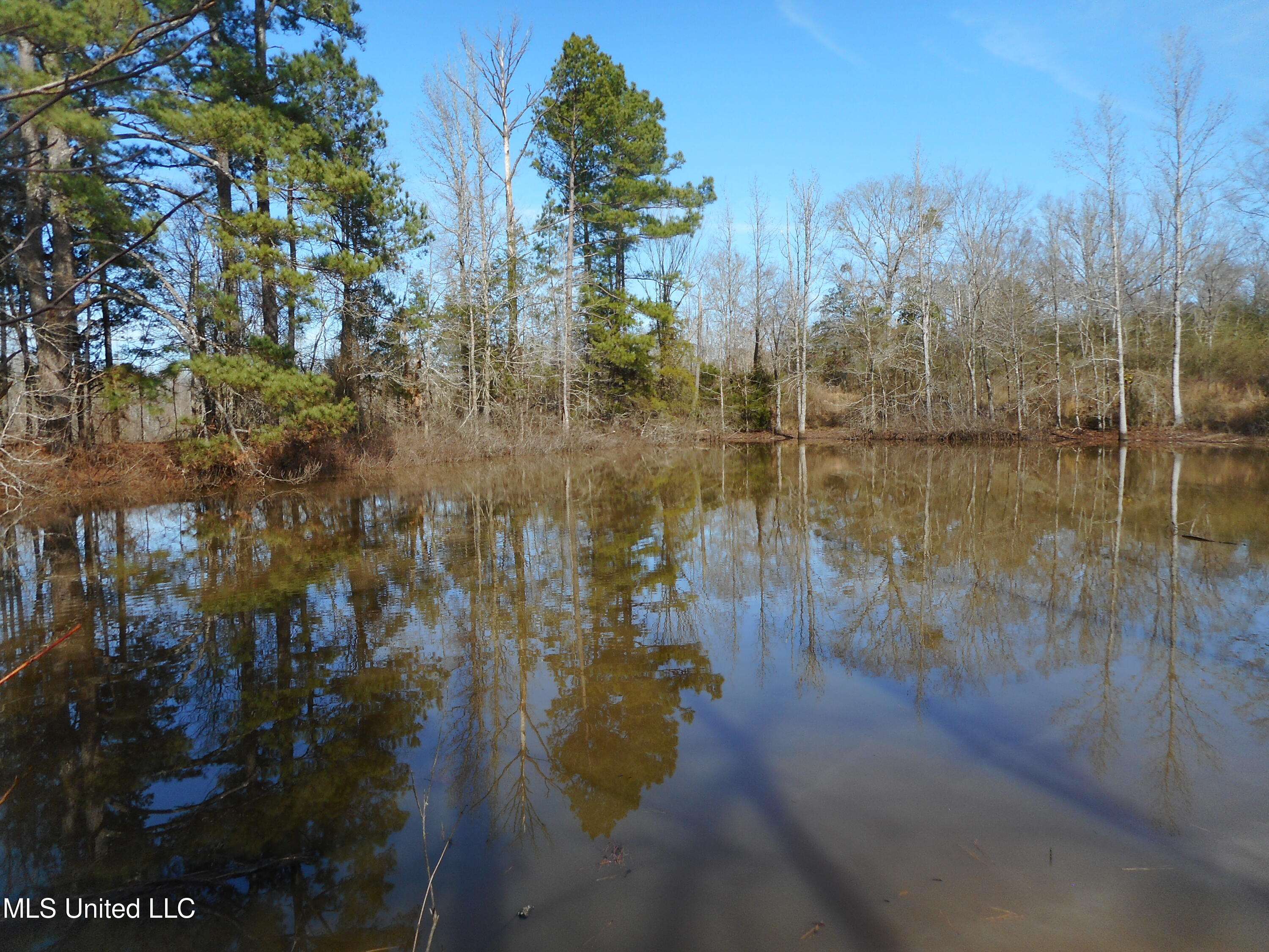 593 Rocky Hill Road Pickens, MS 39146 - Photo 40 of 102 DSCN2025