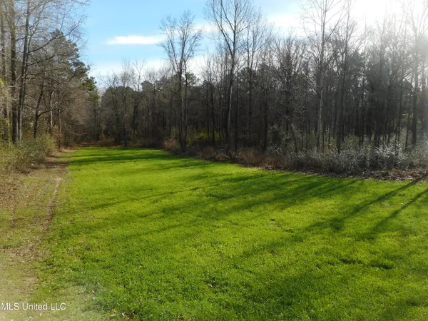 $896,000 | 593 Rocky Hill Road, Pickens, MS 39146