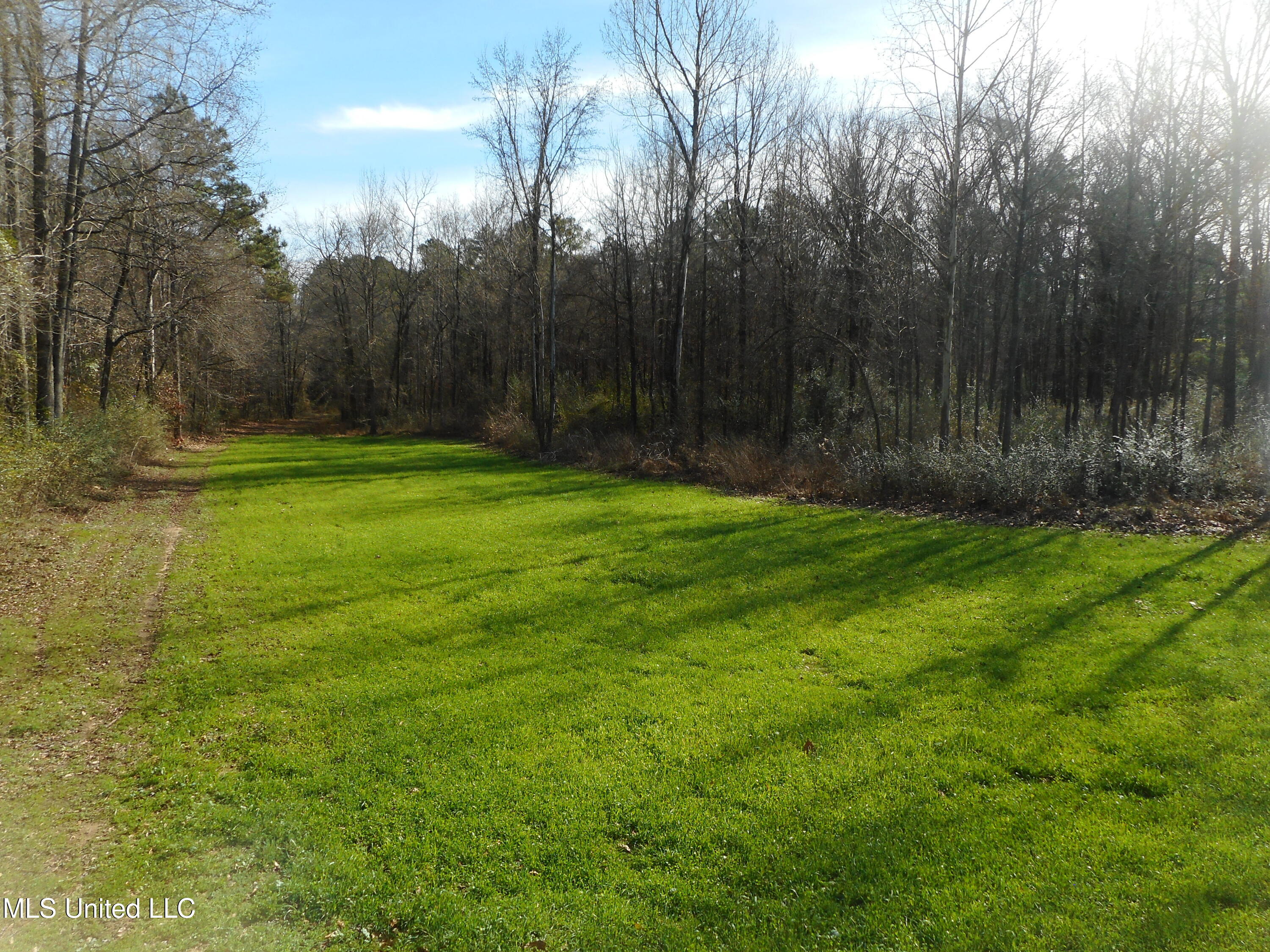 593 Rocky Hill Road Pickens, MS 39146 - Photo 4 of 102 DSCN1961