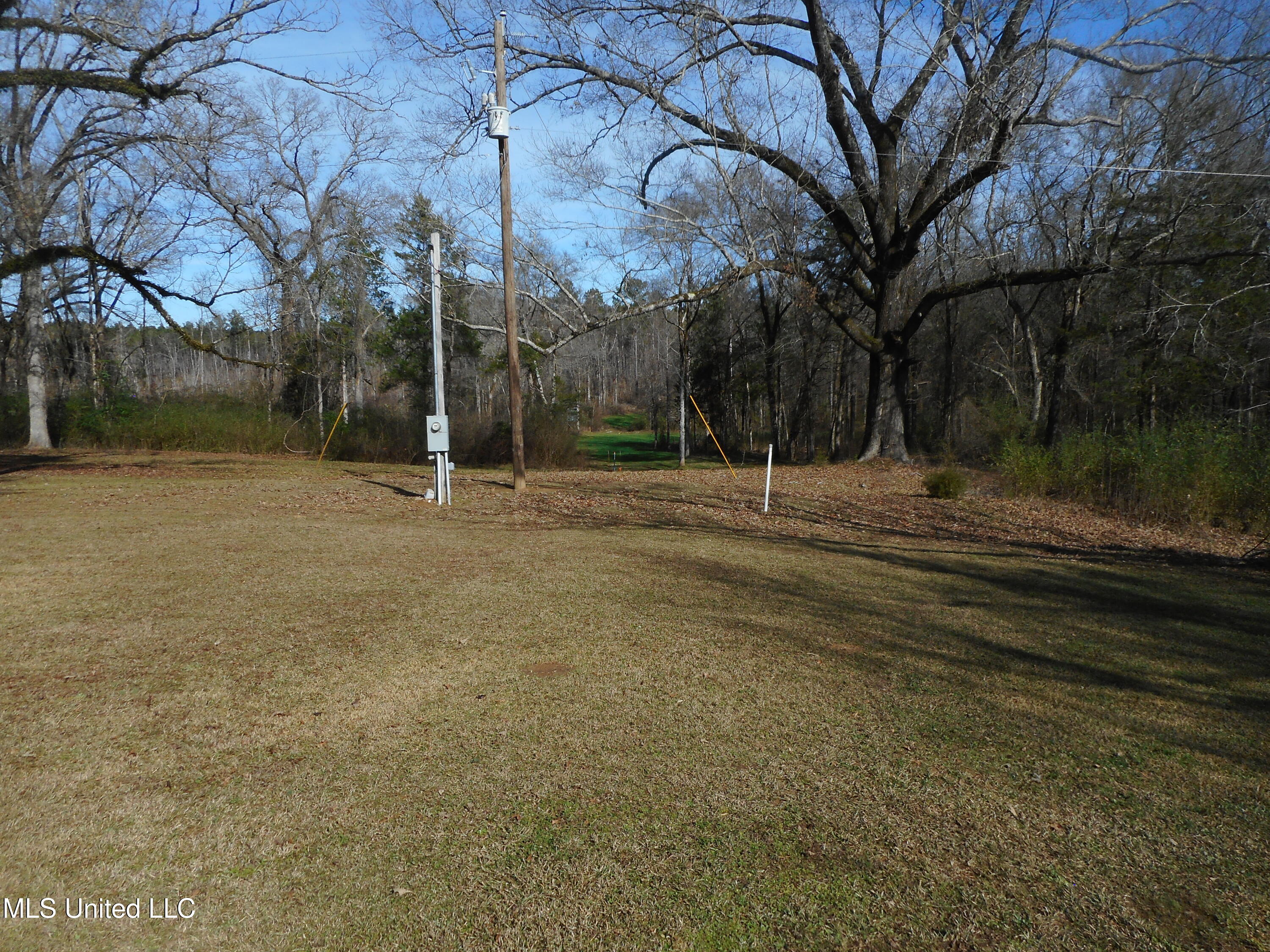 593 Rocky Hill Road Pickens, MS 39146 - Photo 50 of 102 DSCN1960