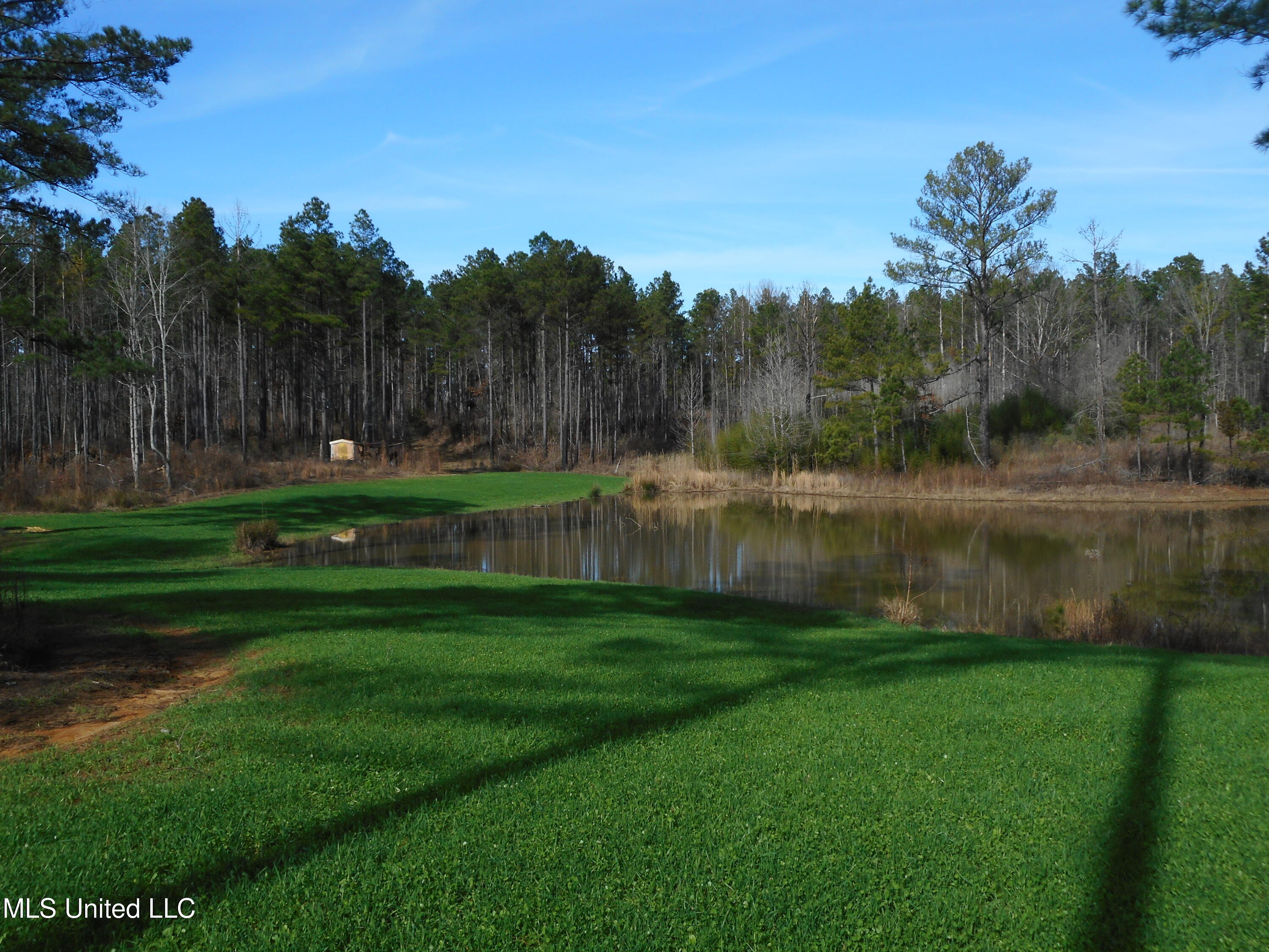 593 Rocky Hill Road Pickens, MS 39146 - Photo 53 of 102 DSCN1966