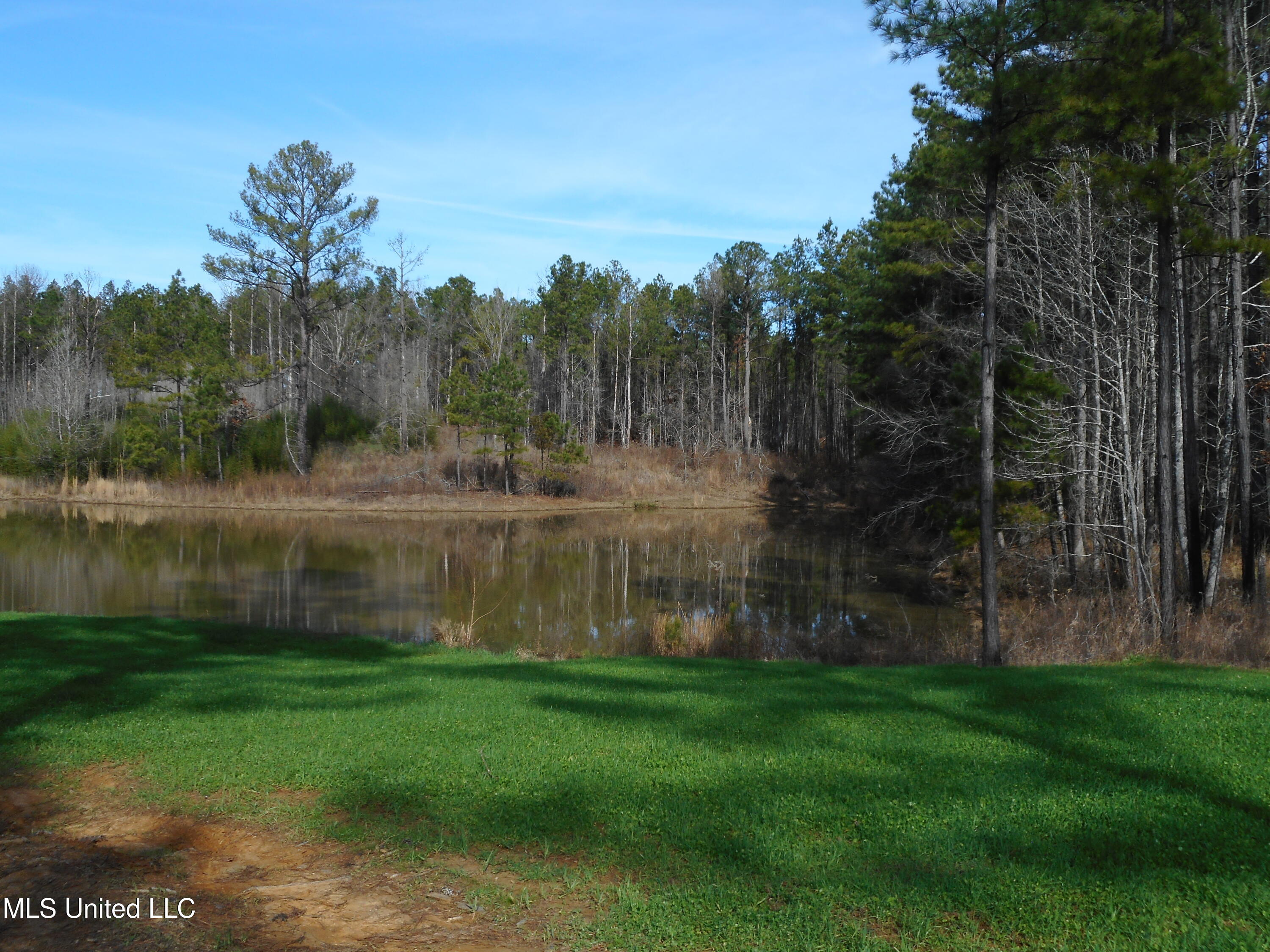 593 Rocky Hill Road Pickens, MS 39146 - Photo 54 of 102 DSCN1967