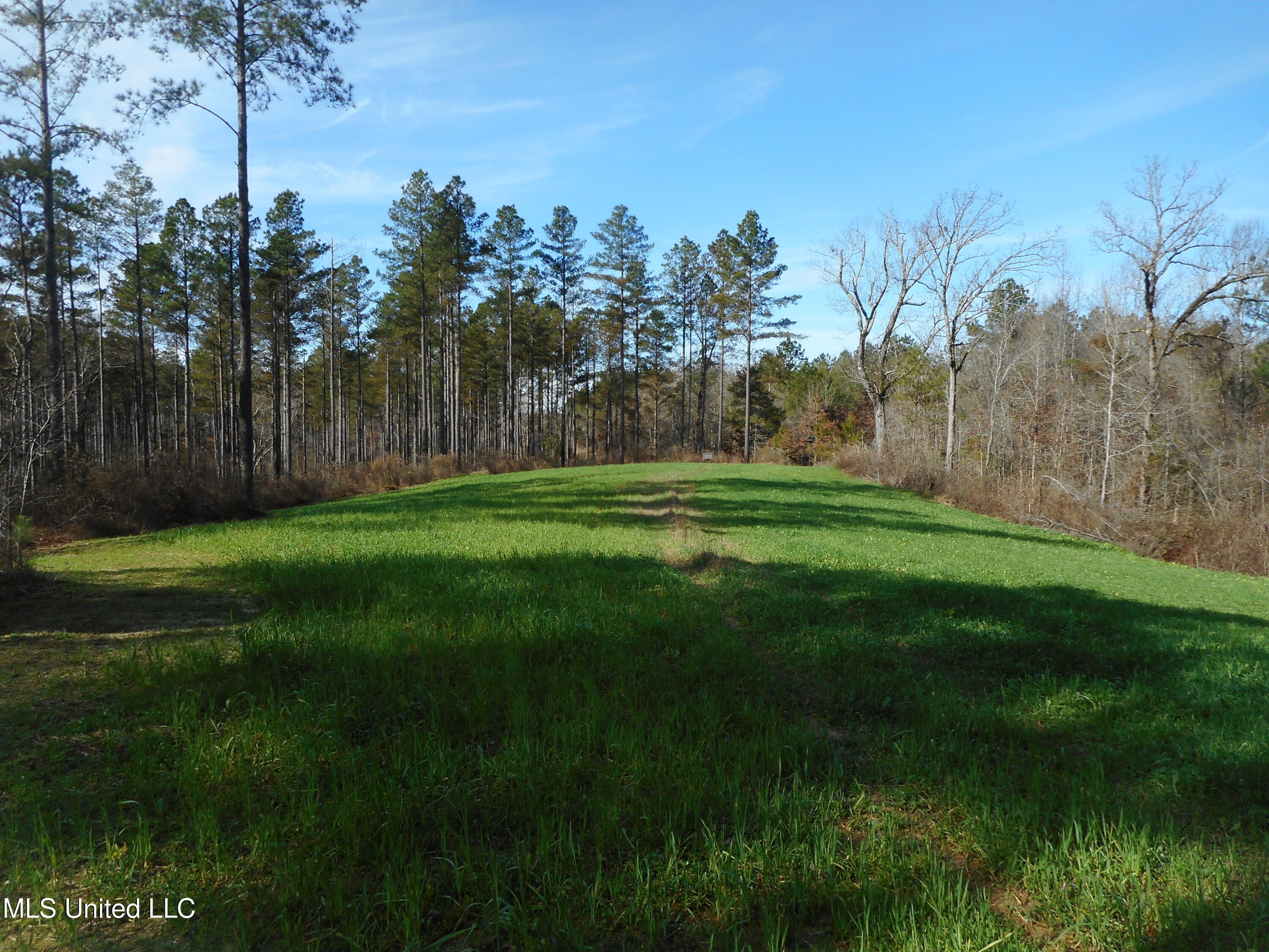 593 Rocky Hill Road Pickens, MS 39146 - Photo 56 of 102 DSCN1973