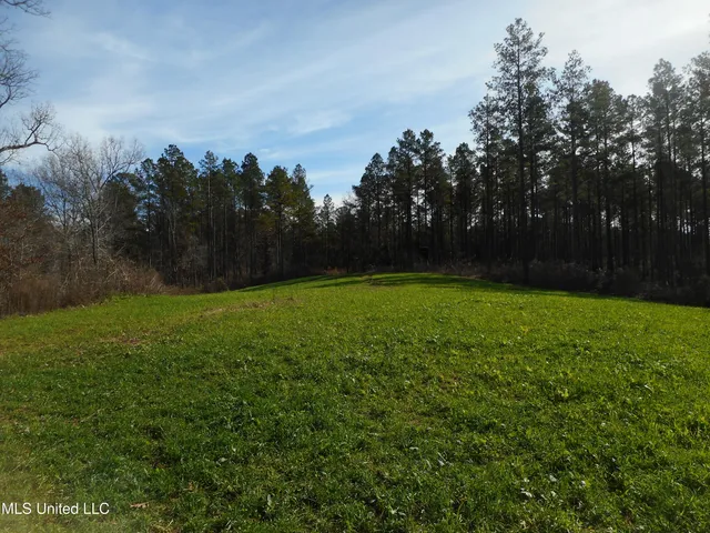 $896,000 | 593 Rocky Hill Road, Pickens, MS 39146