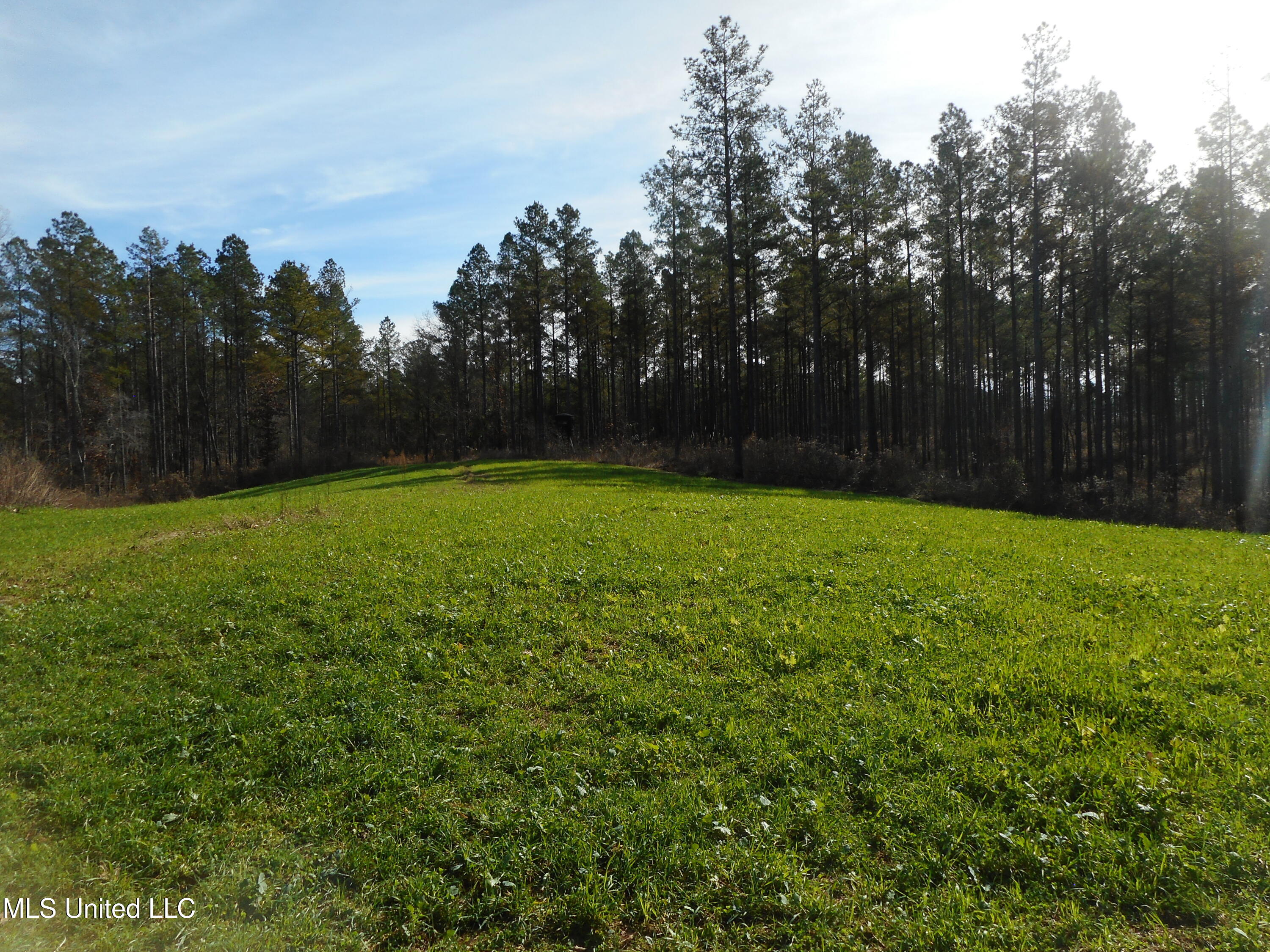 593 Rocky Hill Road Pickens, MS 39146 - Photo 58 of 102 DSCN1976