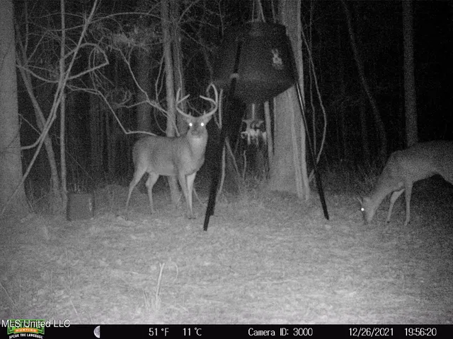 $896,000 | 593 Rocky Hill Road, Pickens, MS 39146