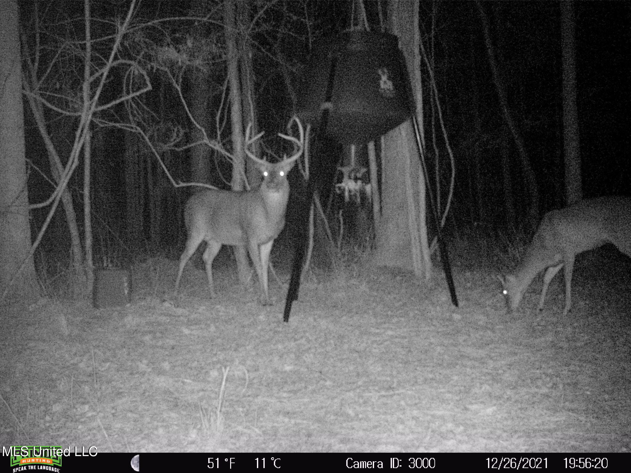 593 Rocky Hill Road Pickens, MS 39146 - Photo 6 of 102 DCIM0498