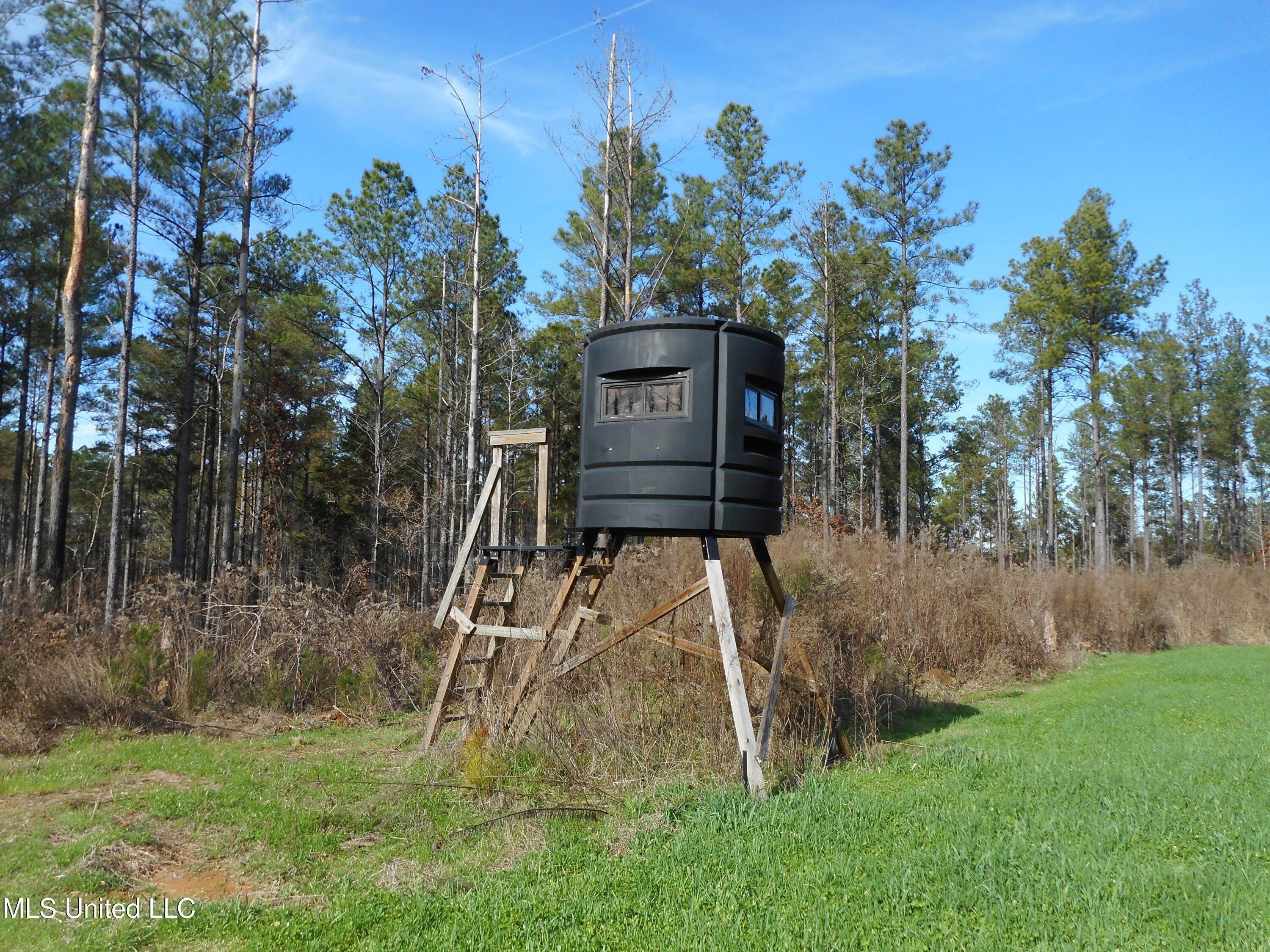 593 Rocky Hill Road Pickens, MS 39146 - Photo 64 of 102 DSCN1982