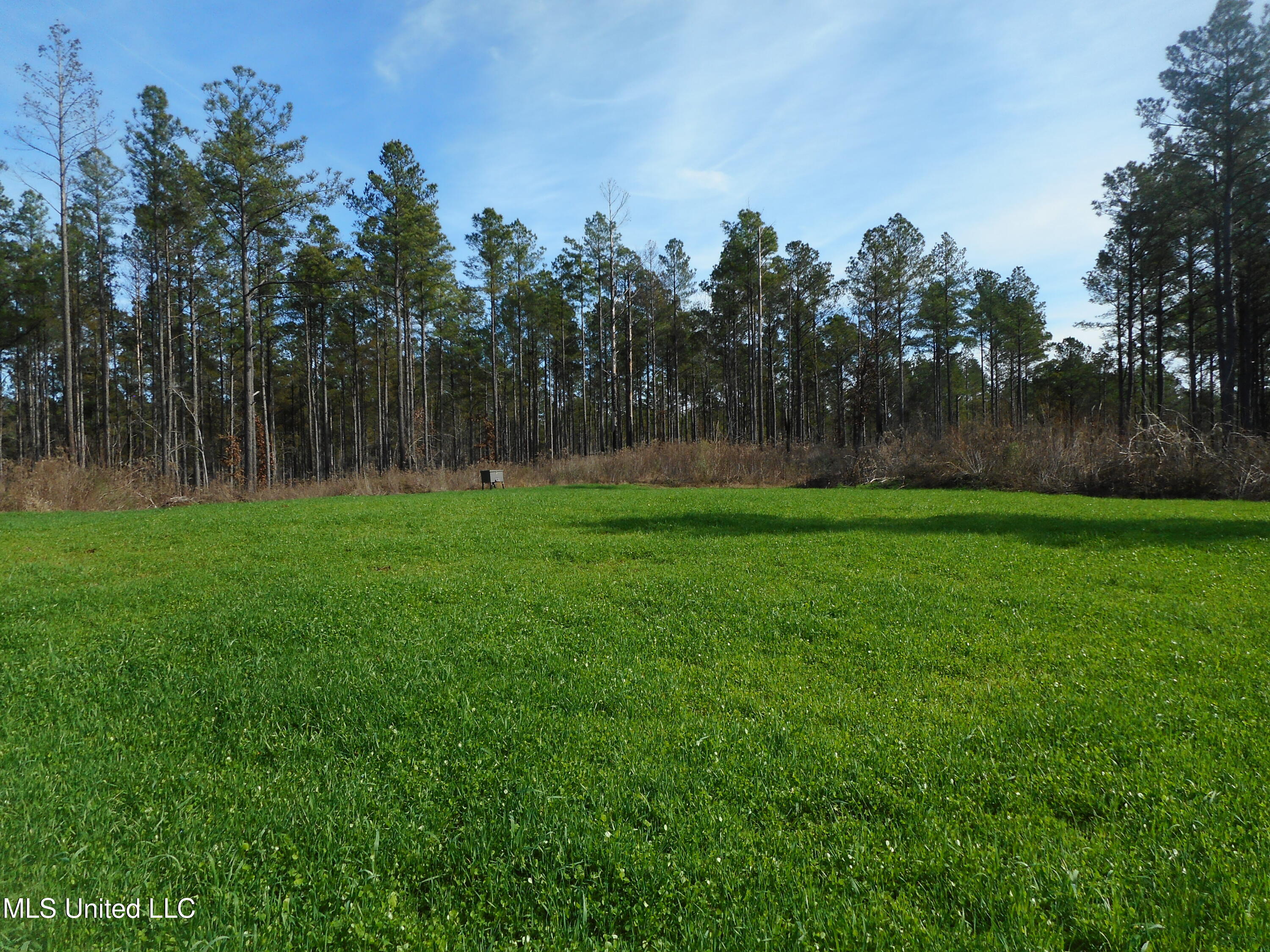 593 Rocky Hill Road Pickens, MS 39146 - Photo 65 of 102 DSCN1983