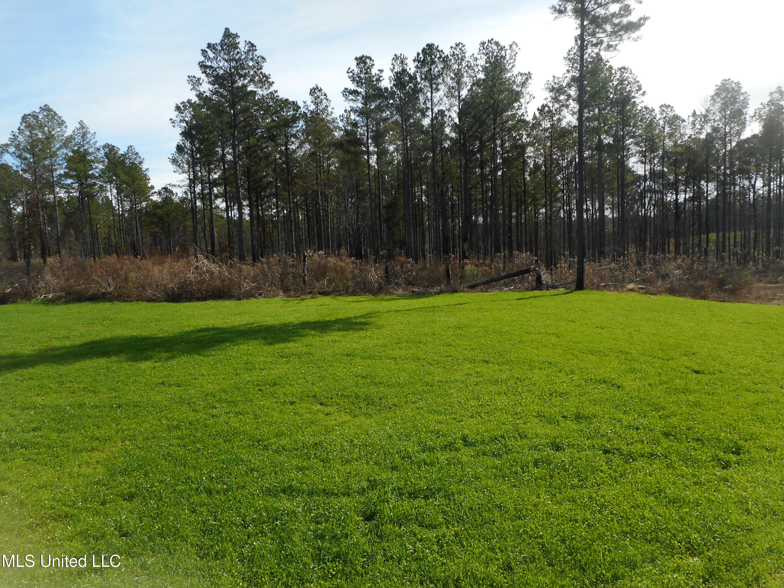 593 Rocky Hill Road Pickens, MS 39146 - Photo 67 of 102 DSCN1985