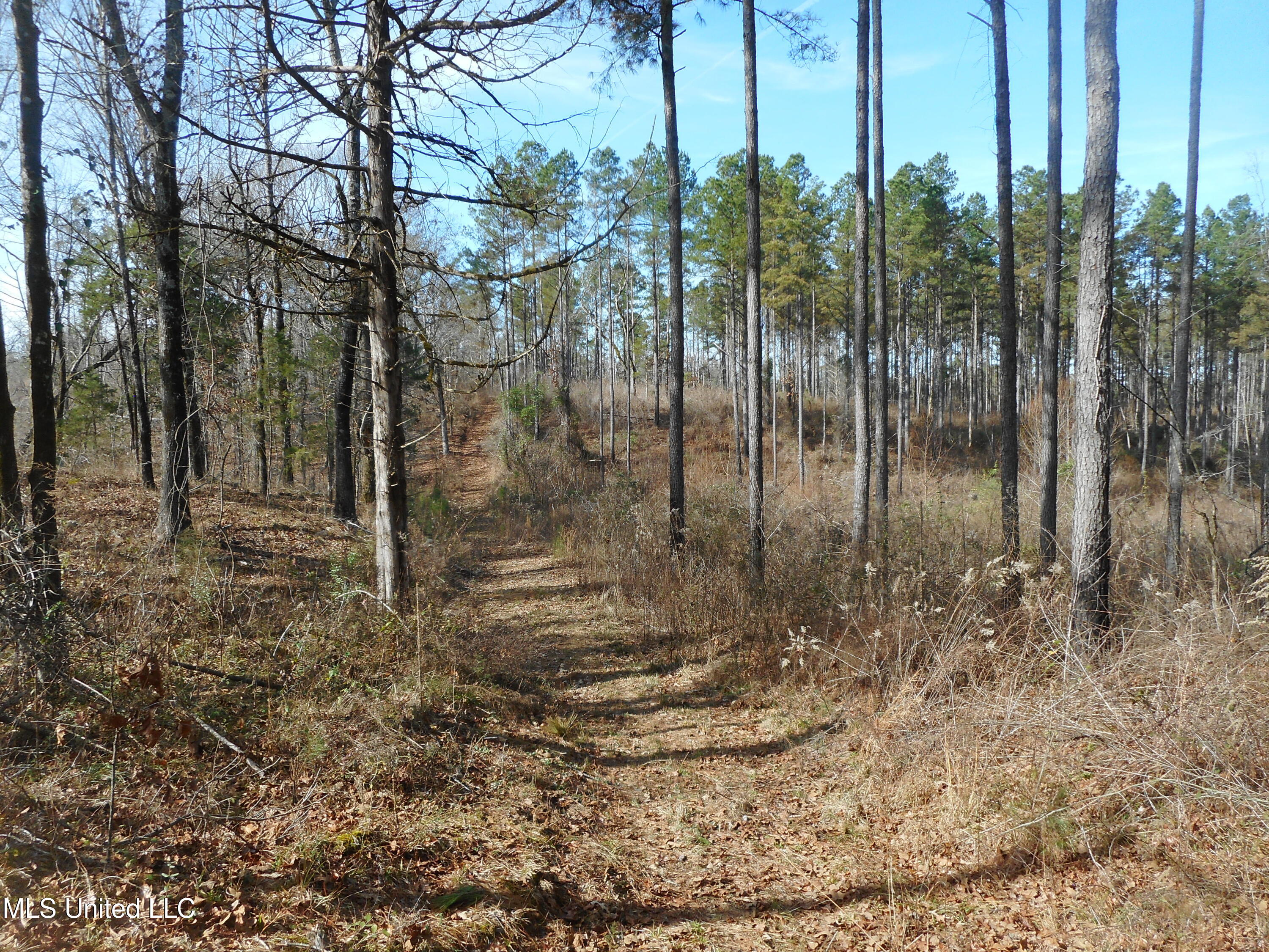 593 Rocky Hill Road Pickens, MS 39146 - Photo 68 of 102 DSCN1986