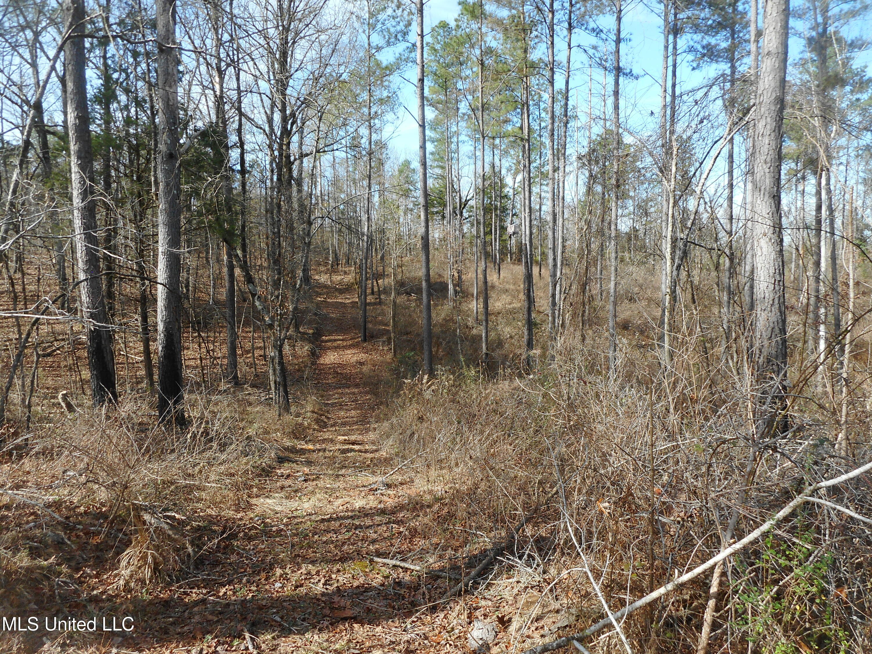 593 Rocky Hill Road Pickens, MS 39146 - Photo 70 of 102 DSCN1988