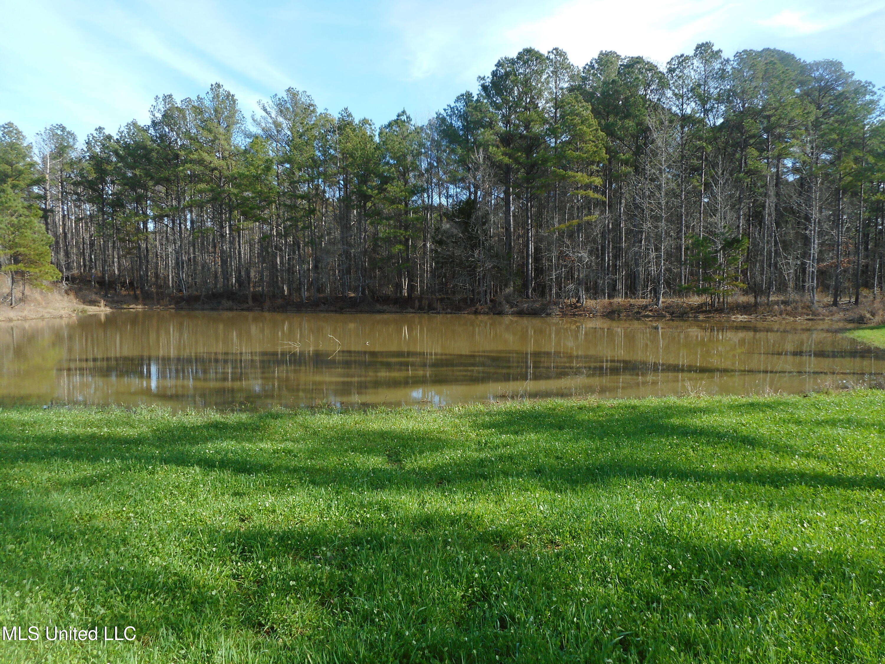 593 Rocky Hill Road Pickens, MS 39146 - Photo 7 of 102 DSCN1968