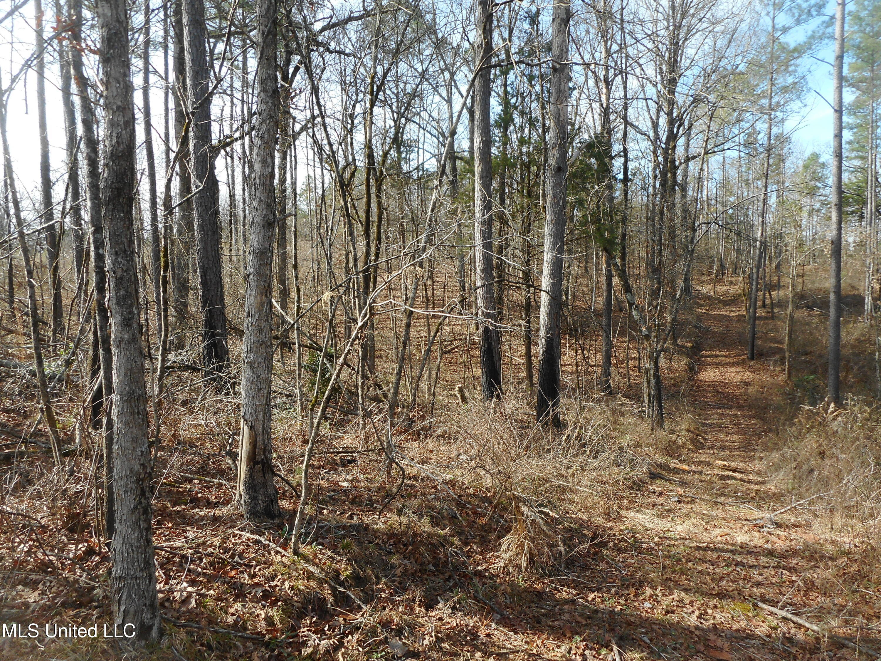 593 Rocky Hill Road Pickens, MS 39146 - Photo 71 of 102 DSCN1989