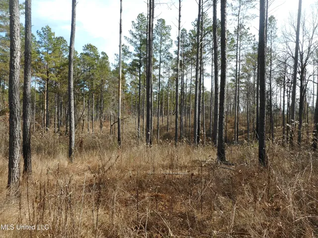 $896,000 | 593 Rocky Hill Road, Pickens, MS 39146