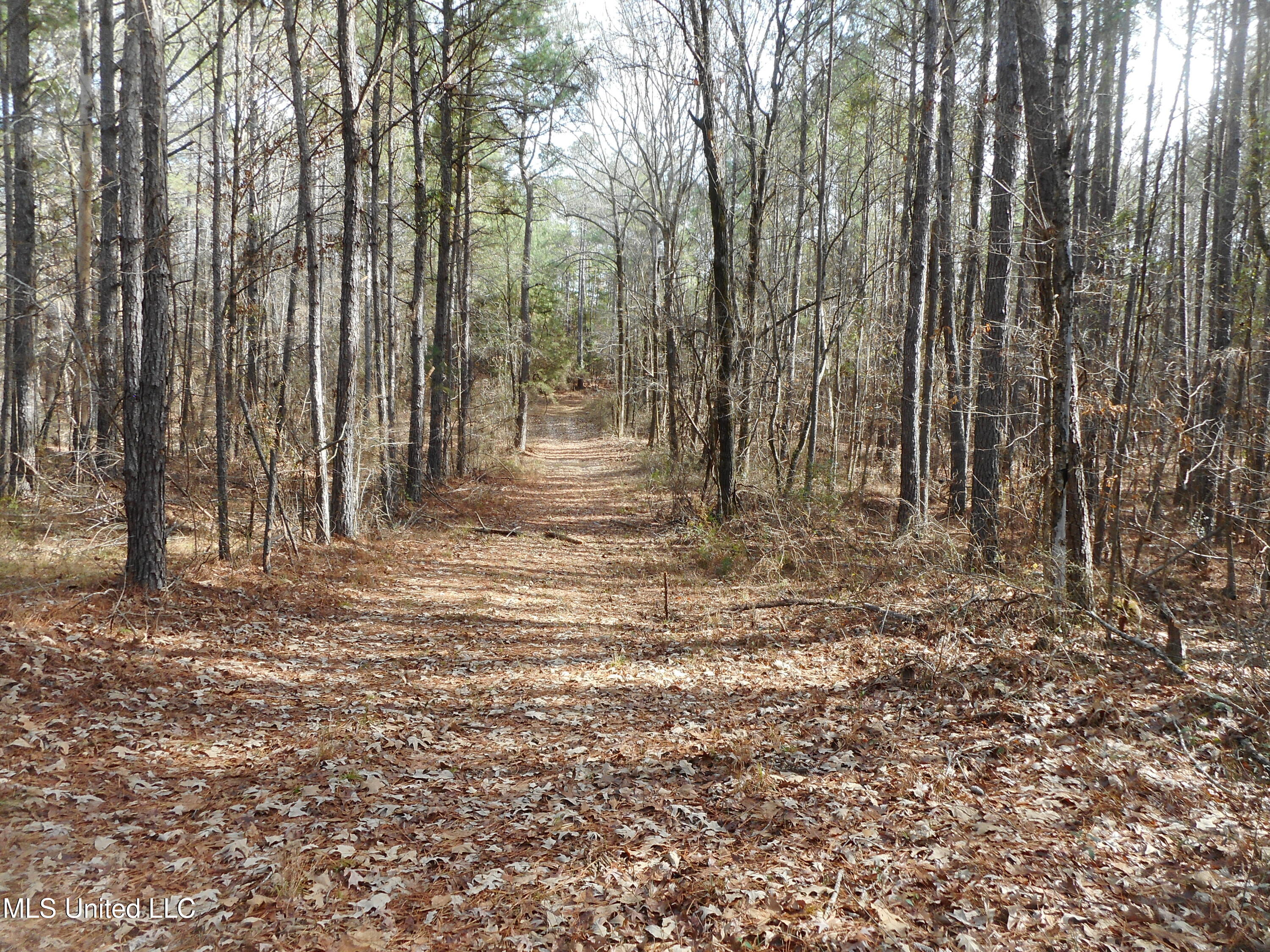 593 Rocky Hill Road Pickens, MS 39146 - Photo 74 of 102 DSCN1992