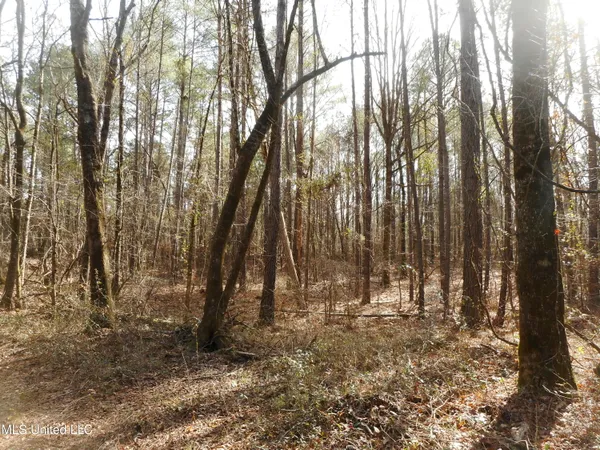 $896,000 | 593 Rocky Hill Road, Pickens, MS 39146