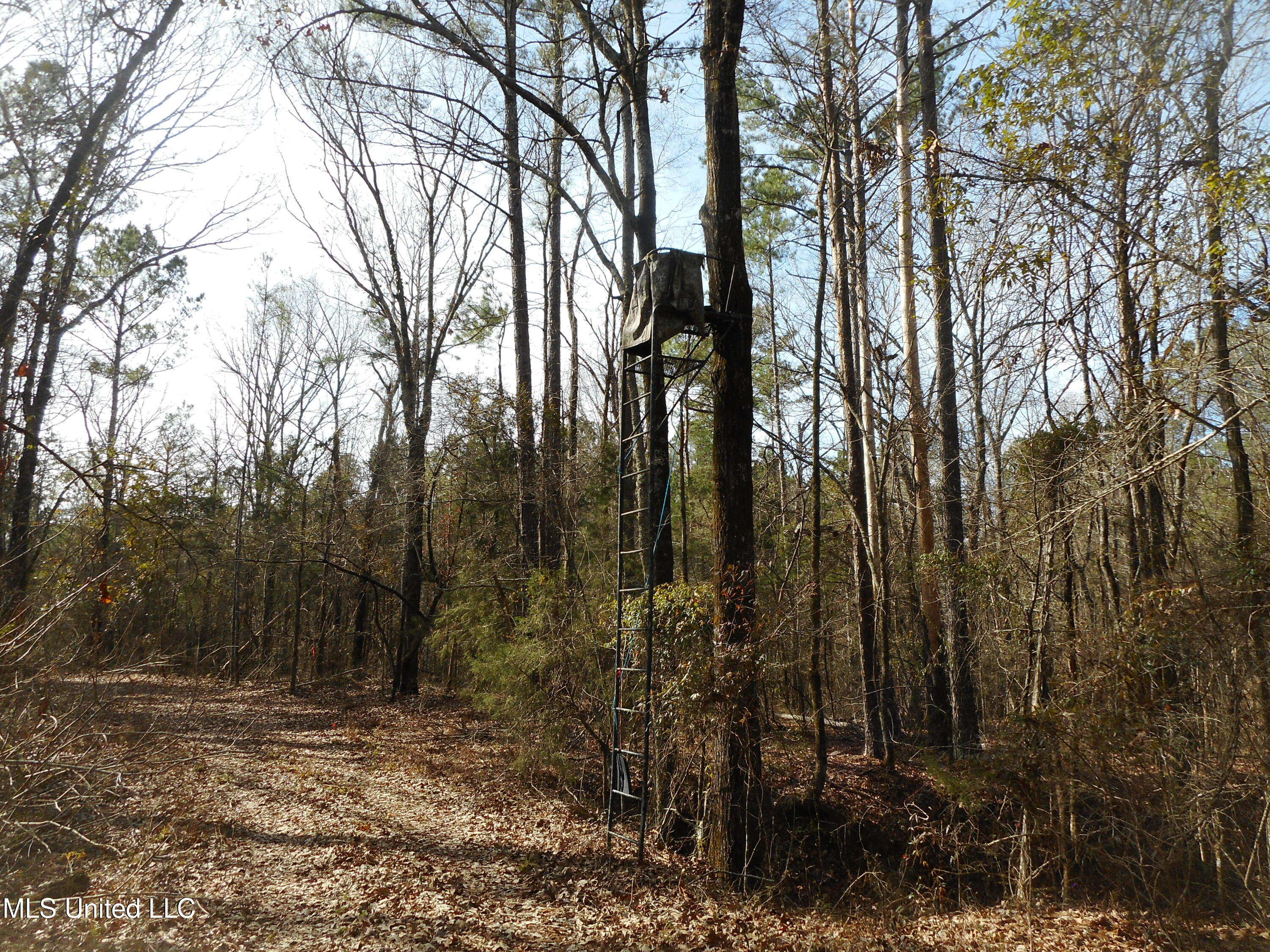 593 Rocky Hill Road Pickens, MS 39146 - Photo 79 of 102 DSCN1997