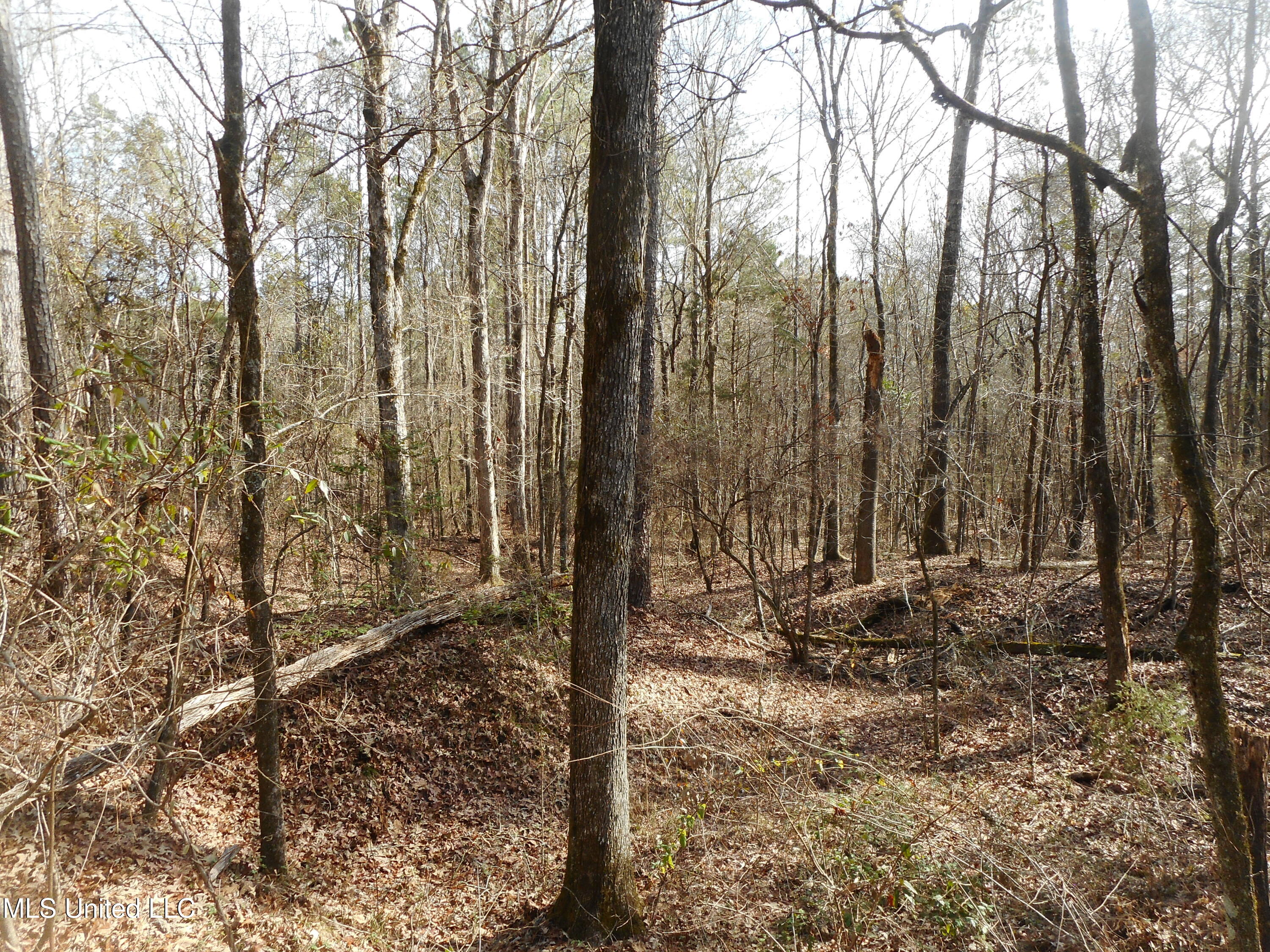 593 Rocky Hill Road Pickens, MS 39146 - Photo 80 of 102 DSCN1998