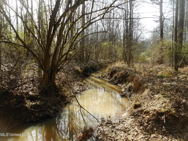 $896,000 | 593 Rocky Hill Road, Pickens, MS 39146