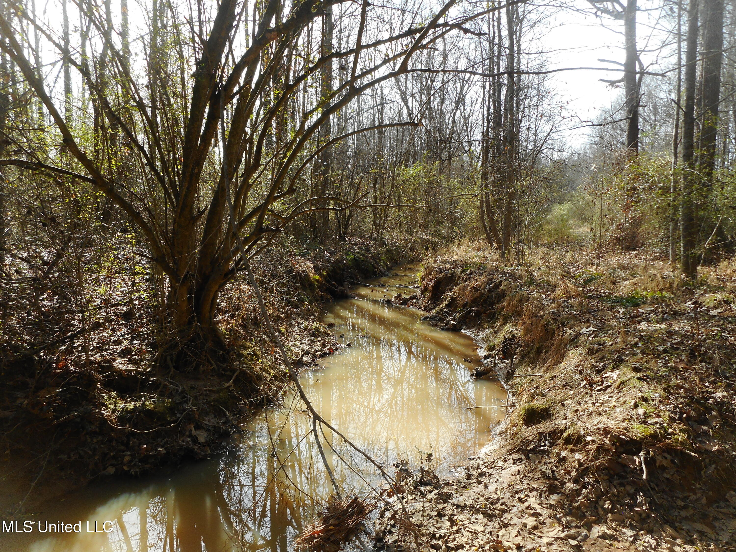 593 Rocky Hill Road Pickens, MS 39146 - Photo 84 of 102 DSCN2003