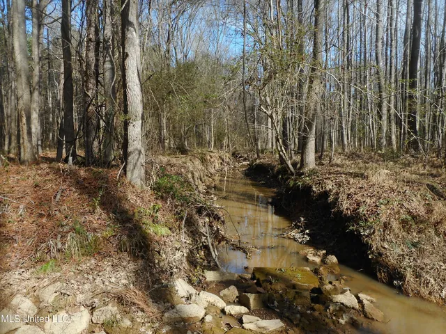 $896,000 | 593 Rocky Hill Road, Pickens, MS 39146