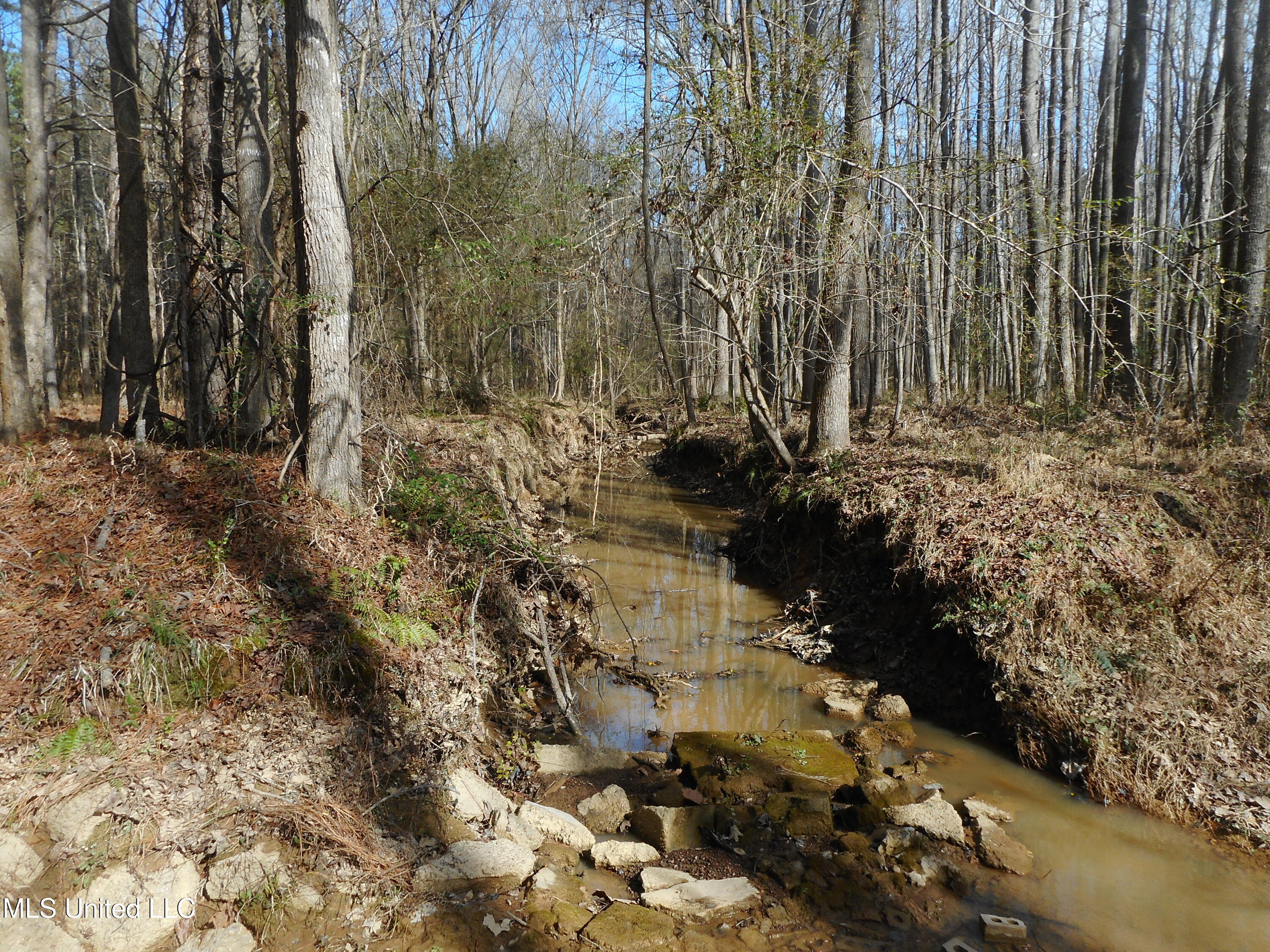 593 Rocky Hill Road Pickens, MS 39146 - Photo 86 of 102 DSCN2005