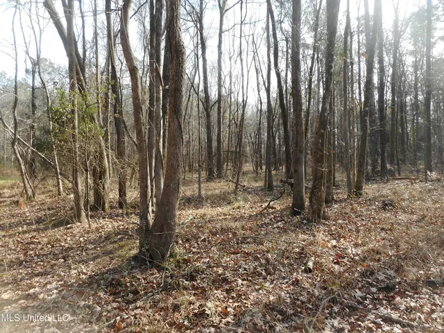 $896,000 | 593 Rocky Hill Road, Pickens, MS 39146