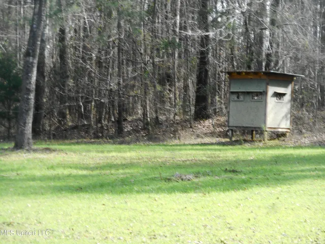 $896,000 | 593 Rocky Hill Road, Pickens, MS 39146