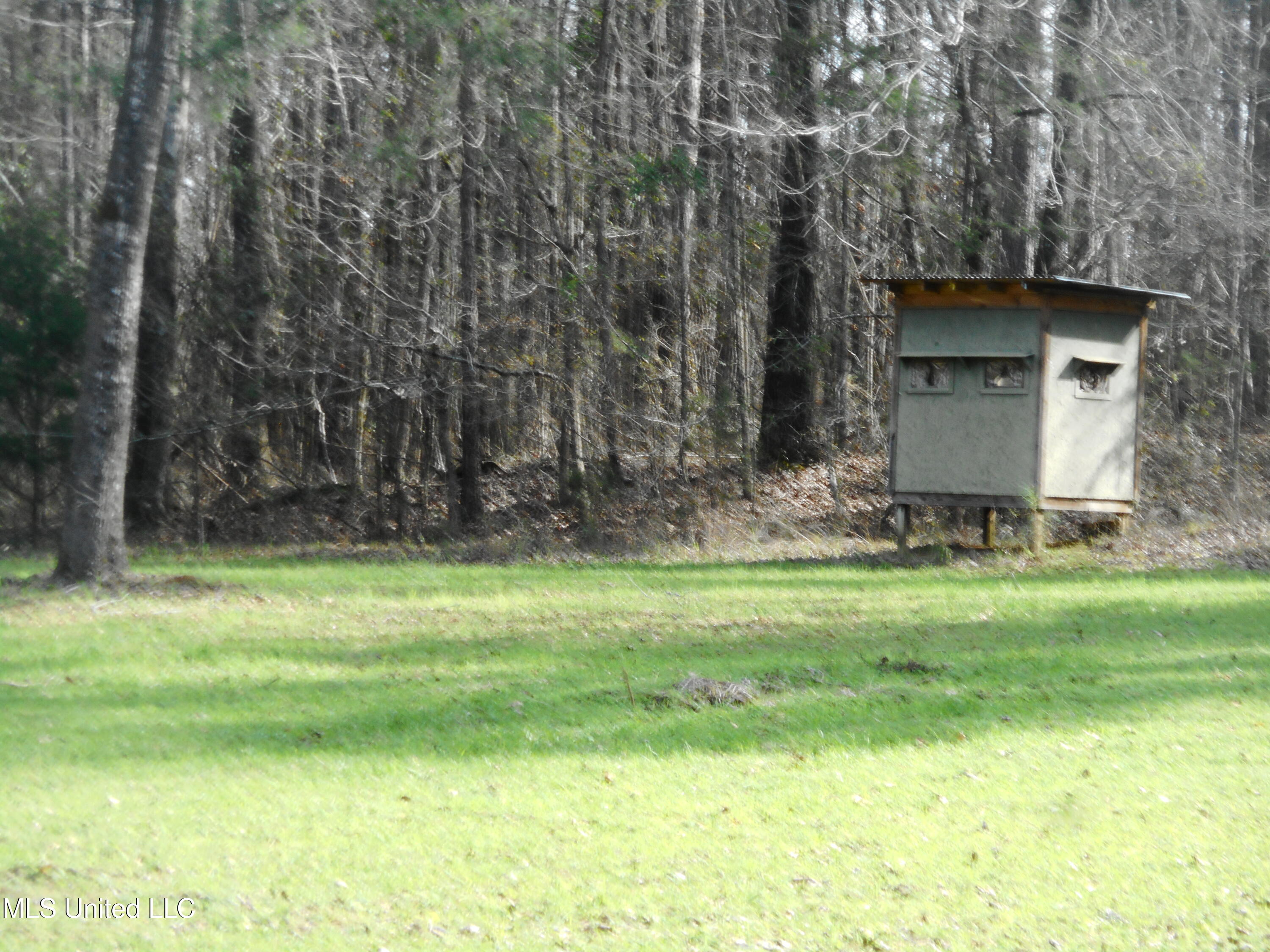 593 Rocky Hill Road Pickens, MS 39146 - Photo 88 of 102 DSCN2011