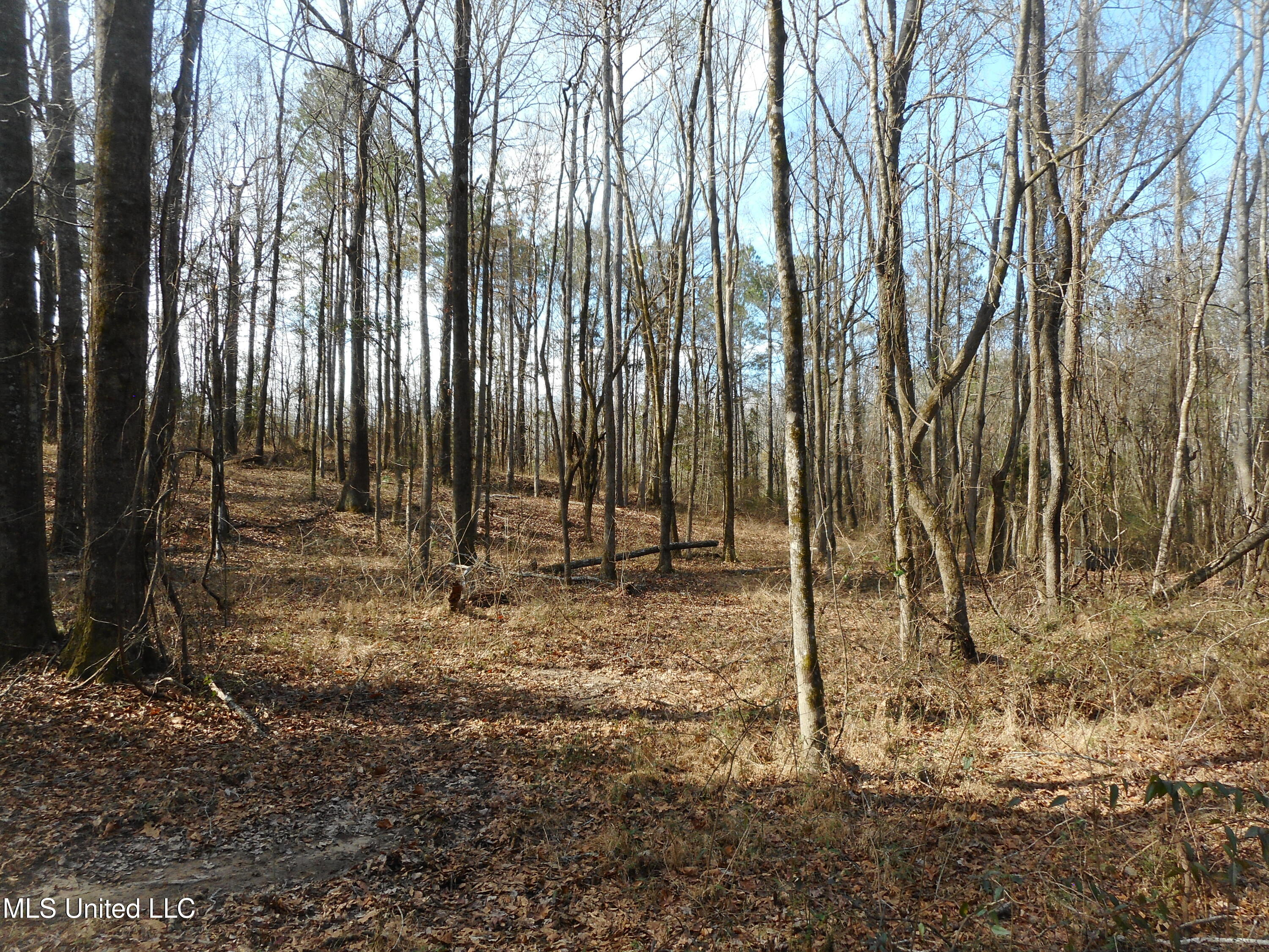 593 Rocky Hill Road Pickens, MS 39146 - Photo 89 of 102 DSCN2014