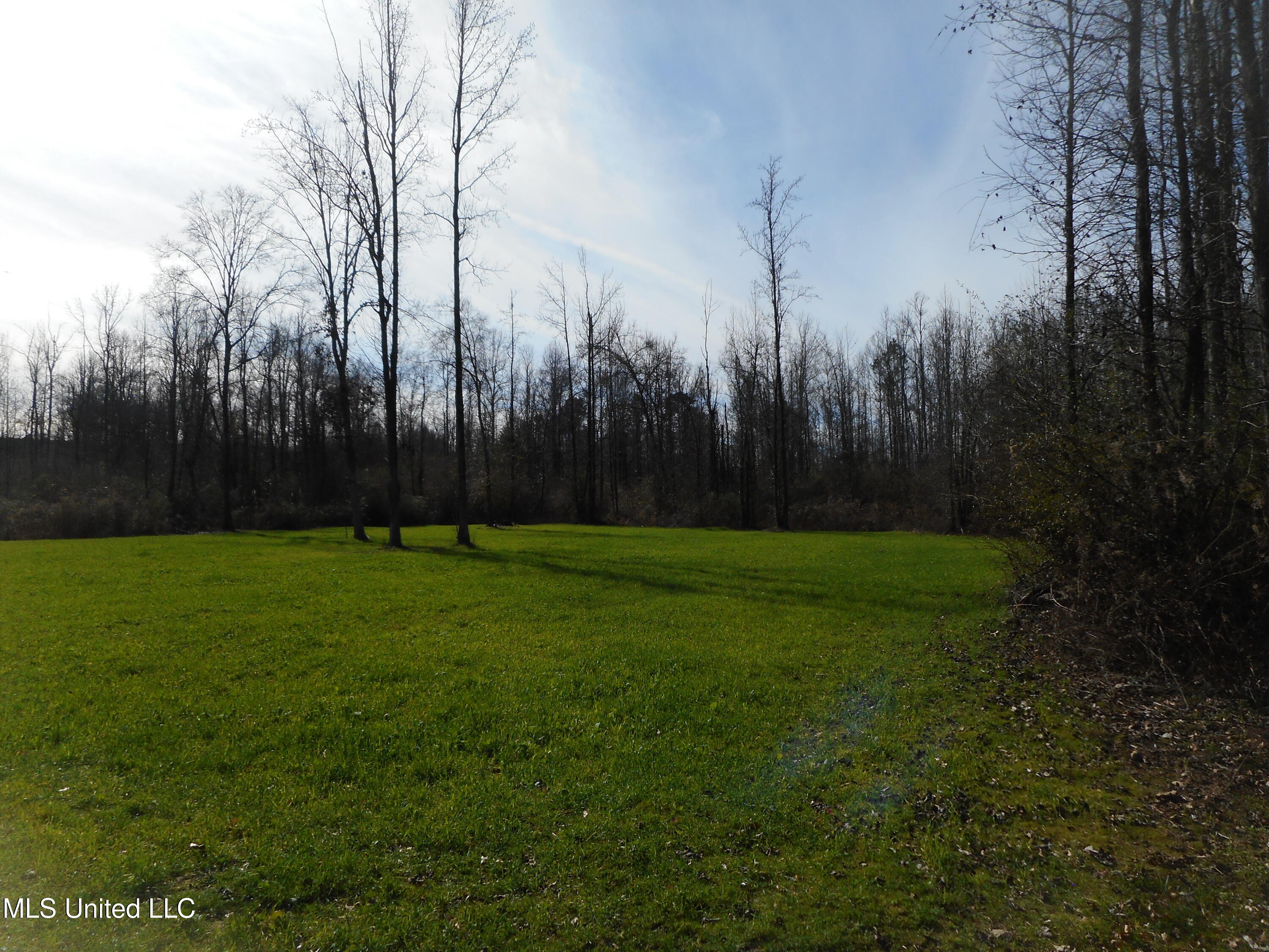 593 Rocky Hill Road Pickens, MS 39146 - Photo 90 of 102 DSCN2017
